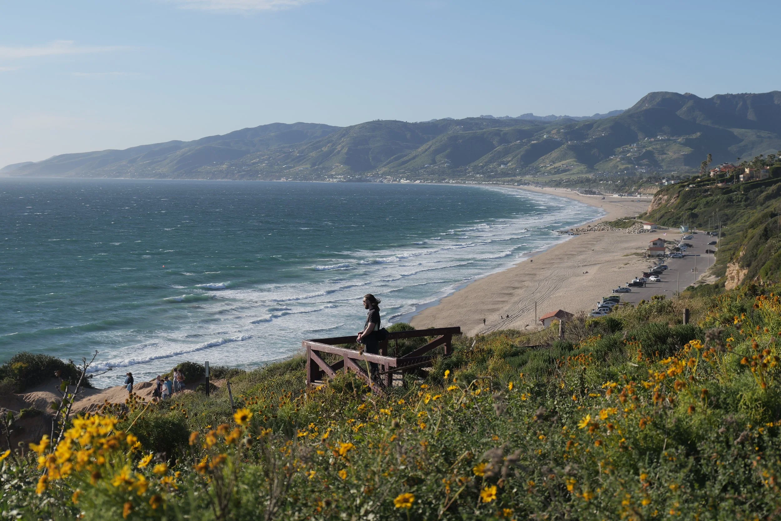 Nathan Hassall, Malibu Poet Laureate Emeritus and Founder of the Poetry Vessel, looking at a beach in Malibu with the ocean and green mountains in the background. There are yellow flowers in the foreground and a parking lot along the coast.