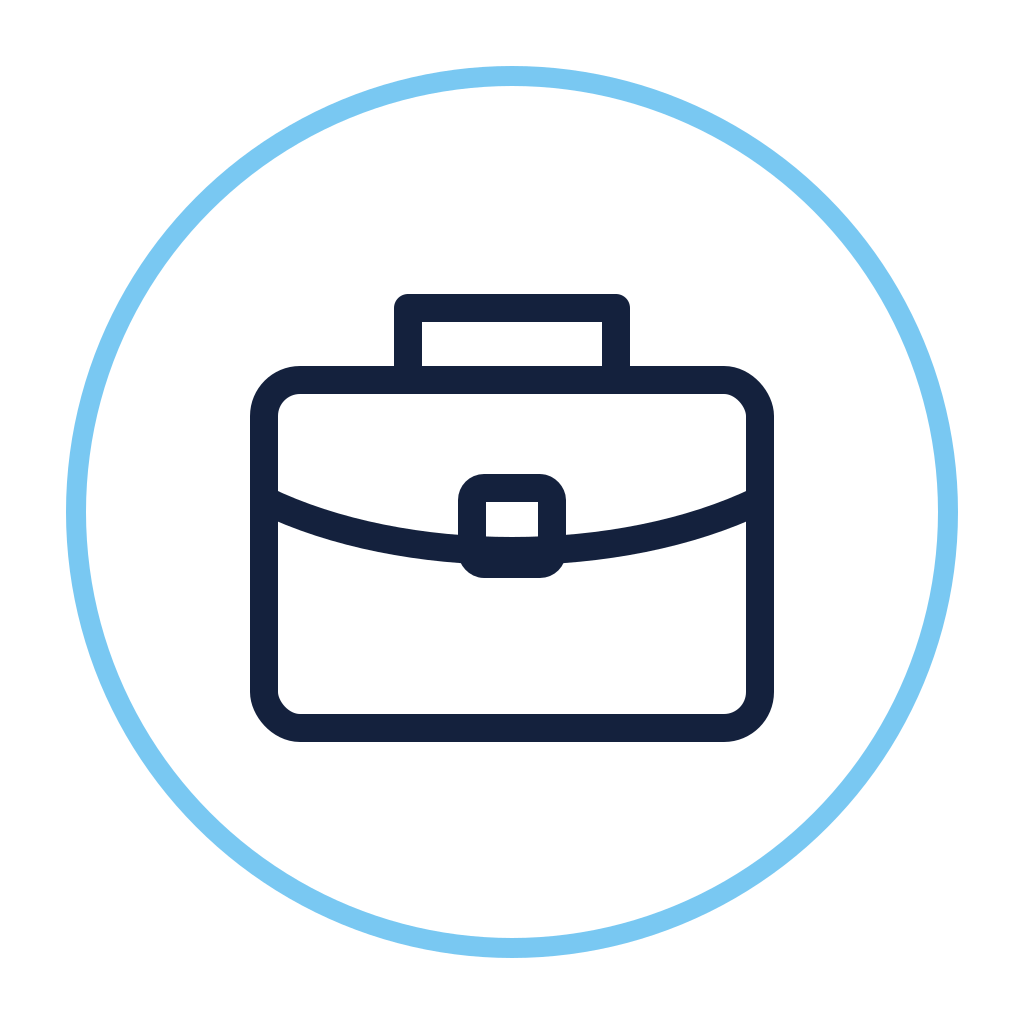 Icon of a briefcase inside a white circle with a light blue border.