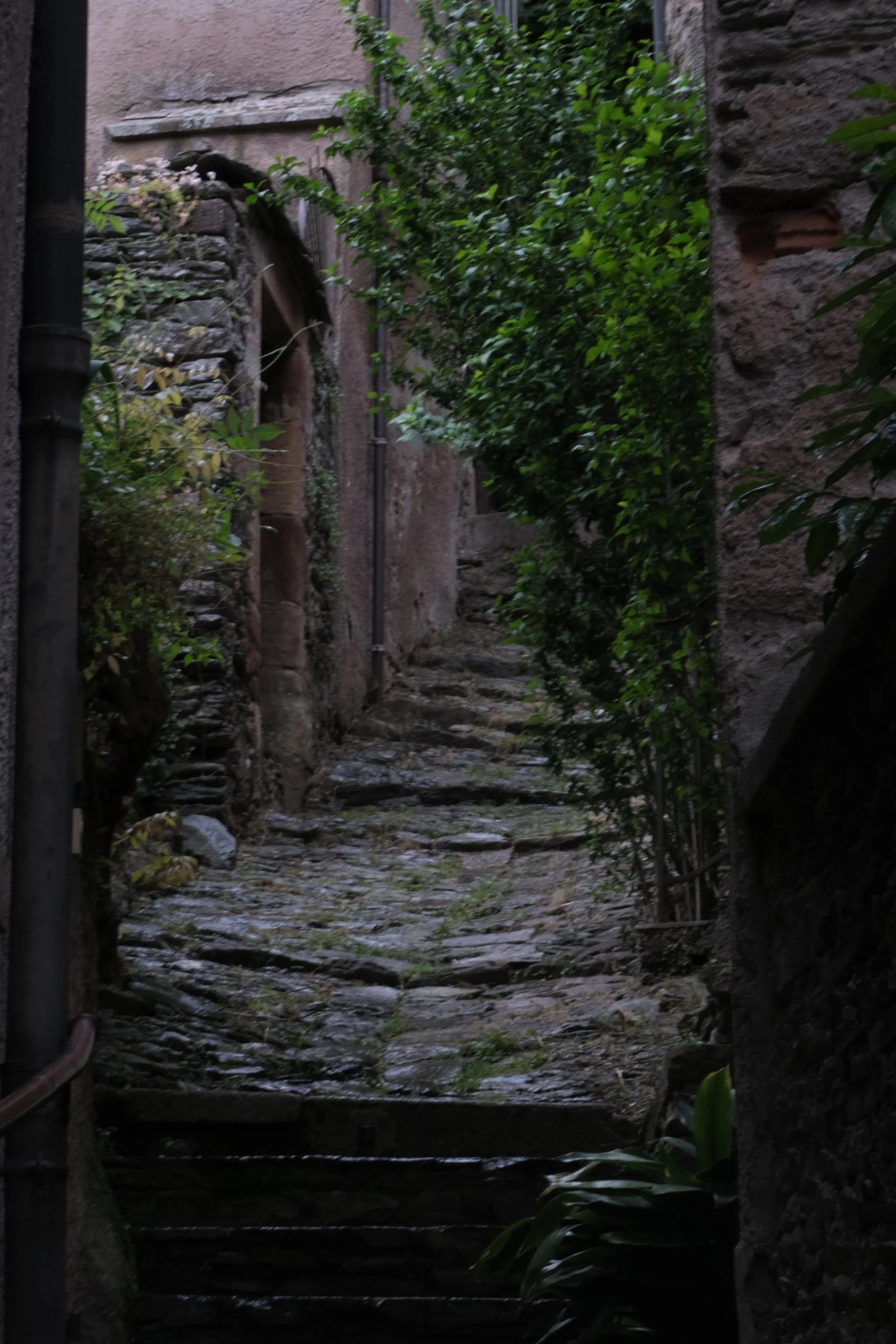 DSCF7648.JPG