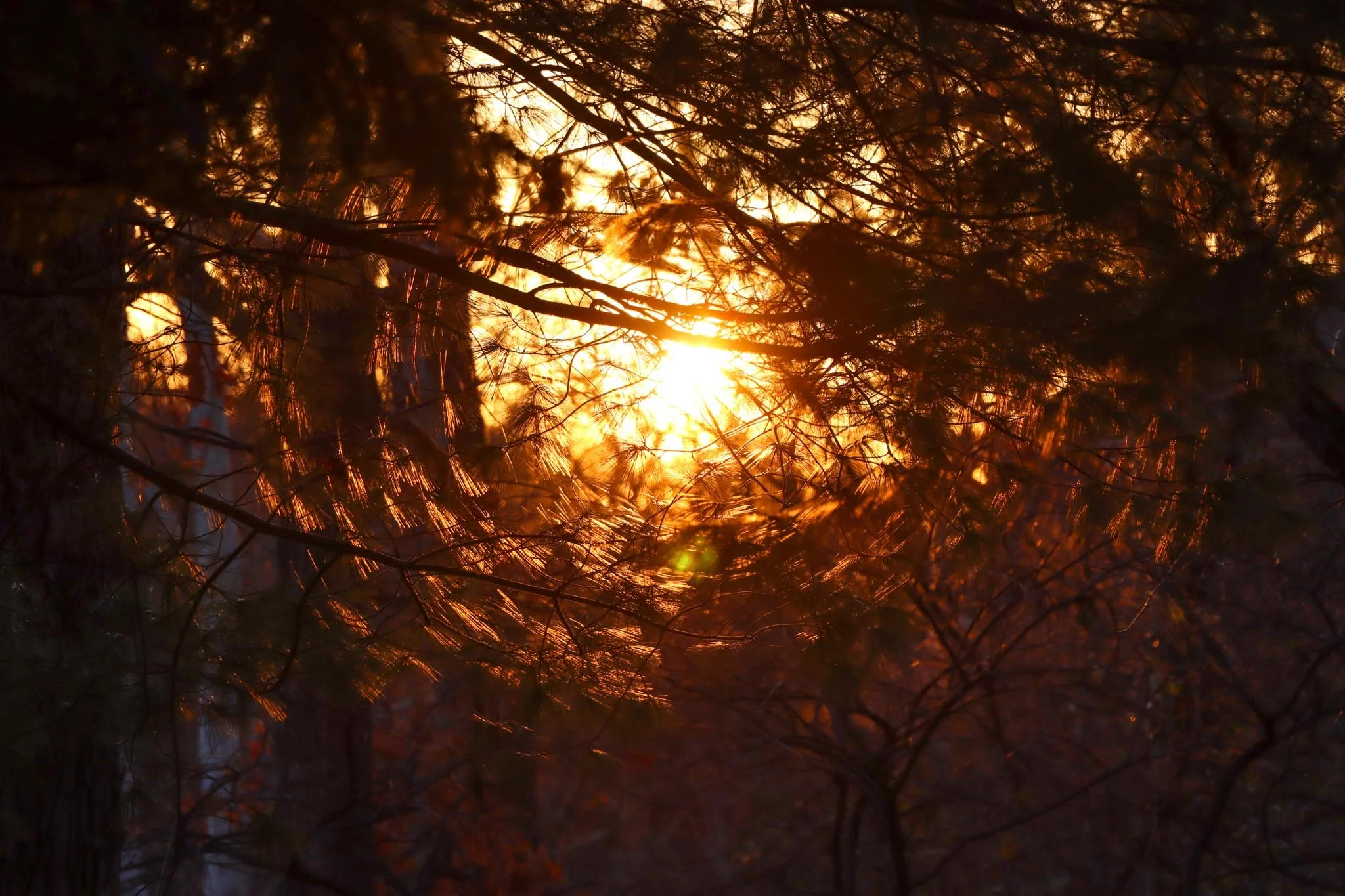 Sunset.jpg
