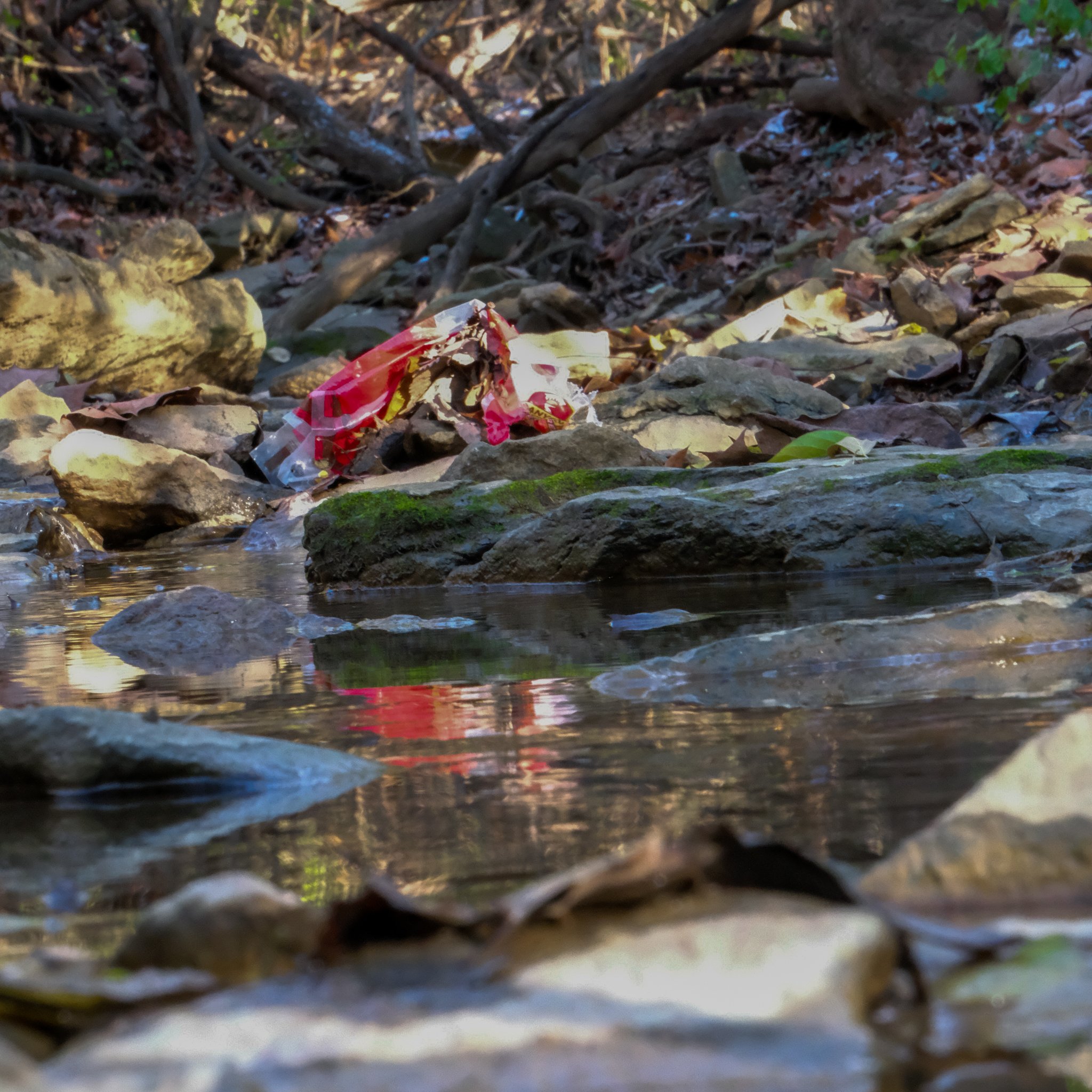 DSCF2081.jpg