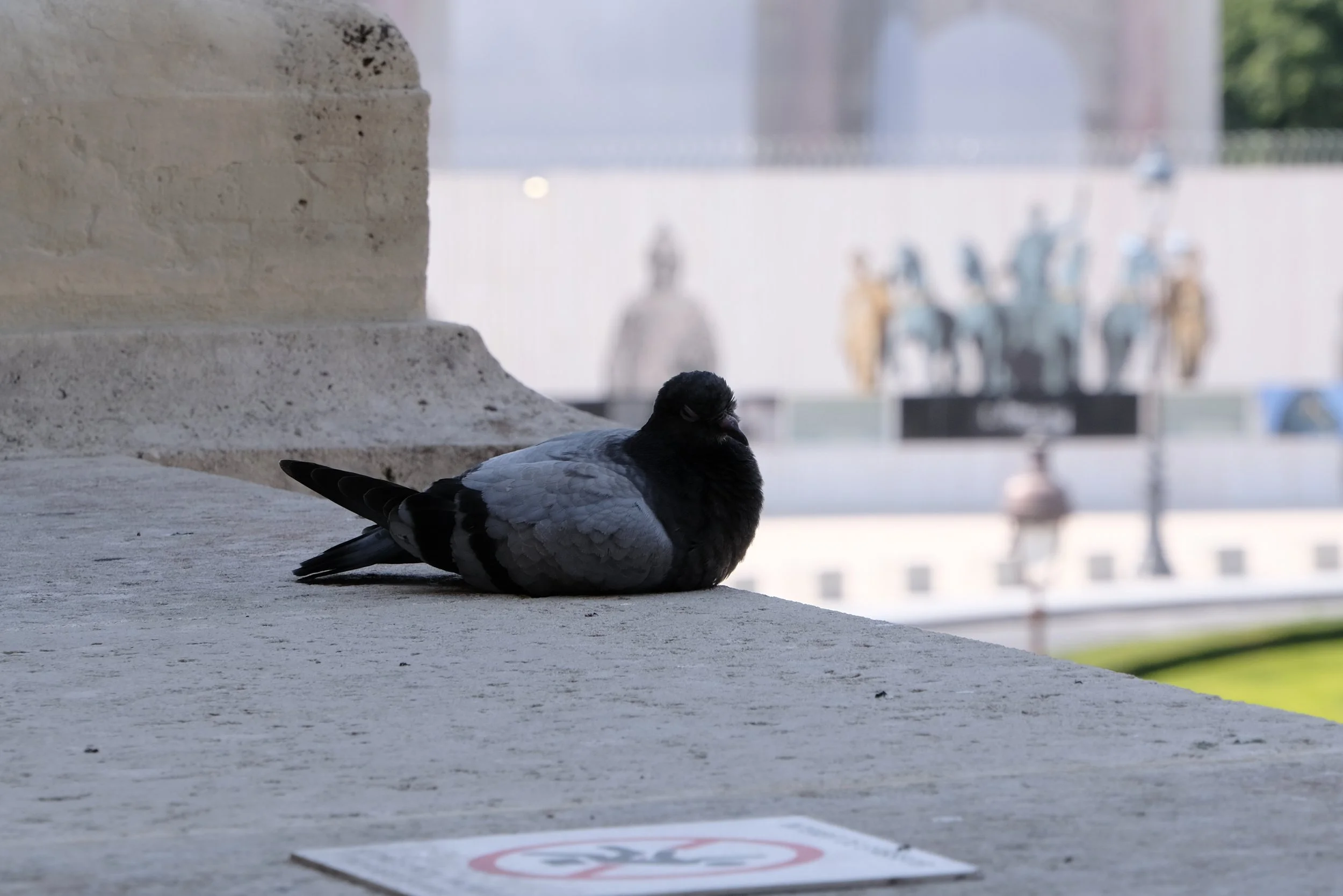 DSCF6557.JPG