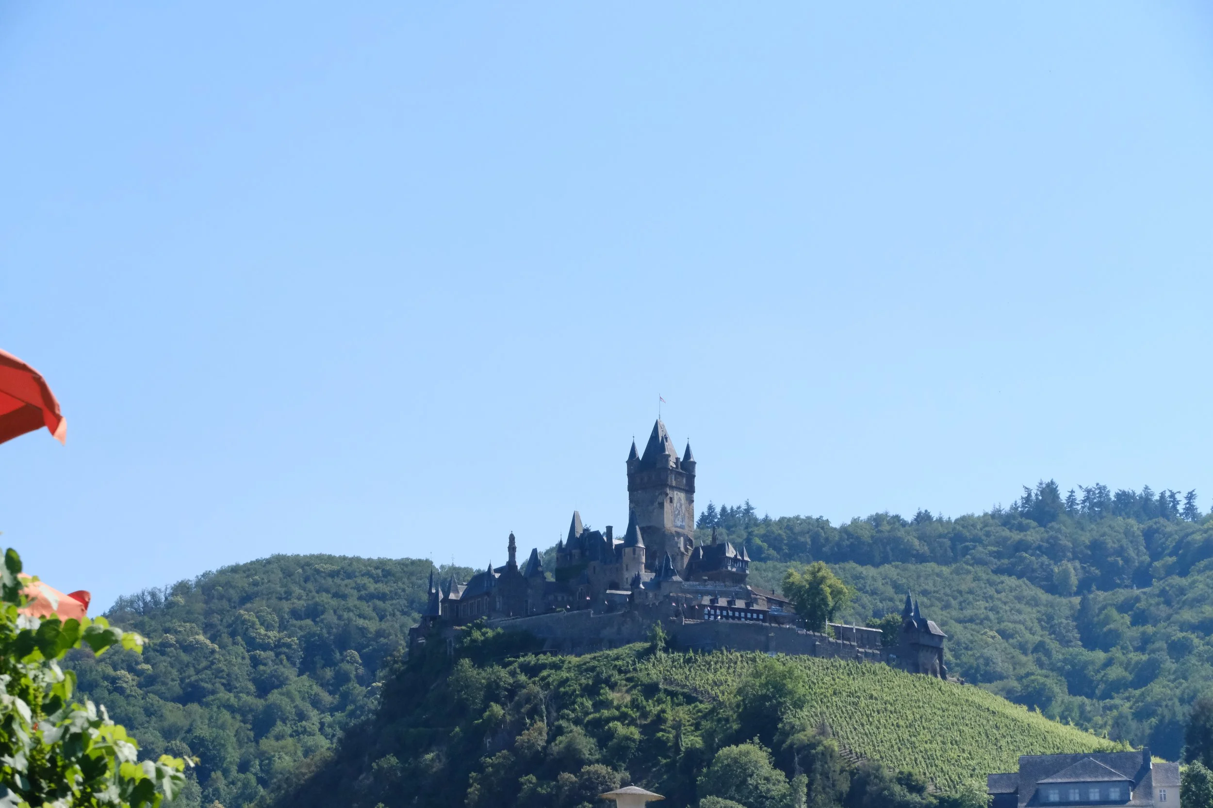 DSCF8197.JPG