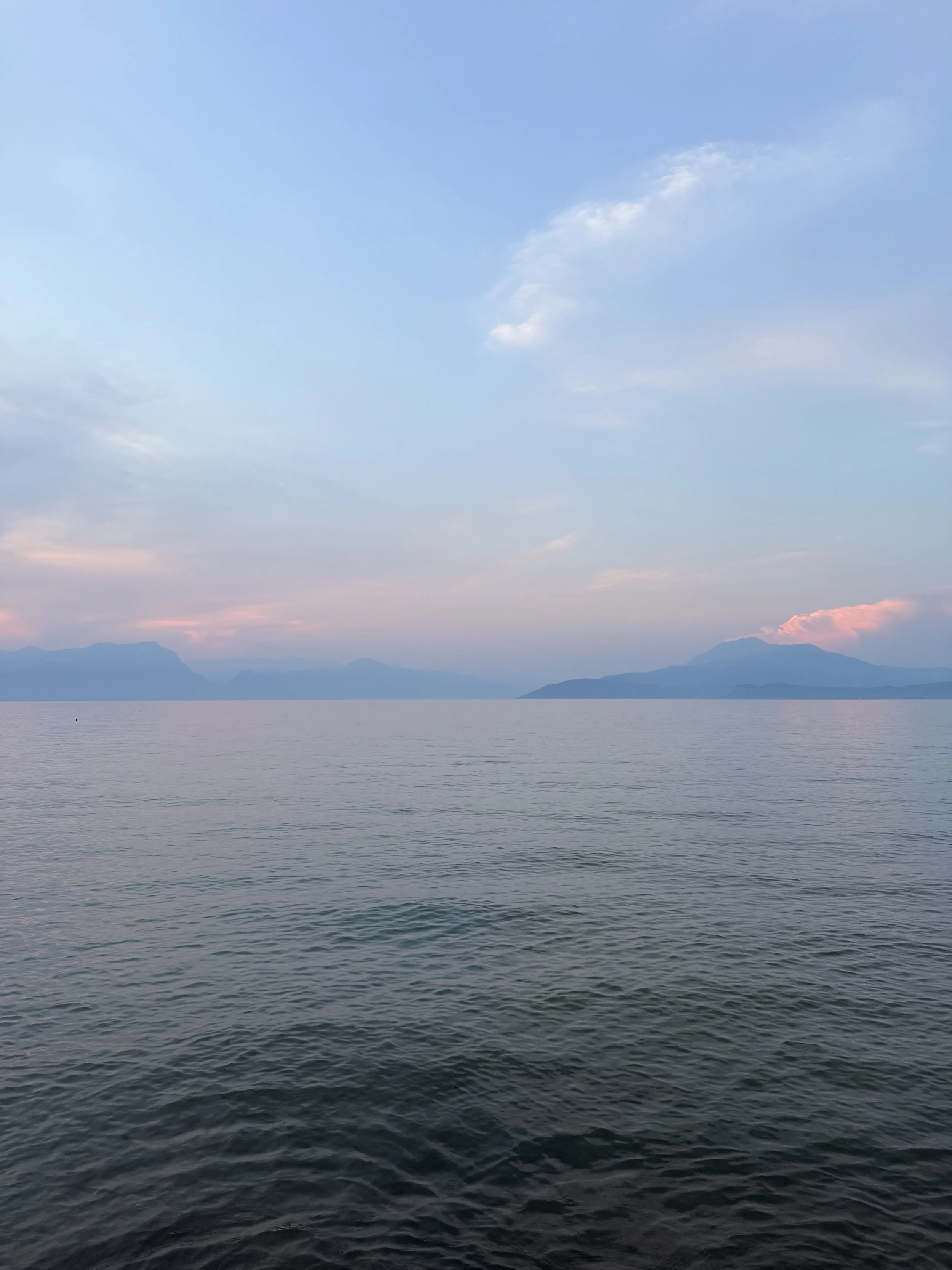 IMG_3936.jpeg