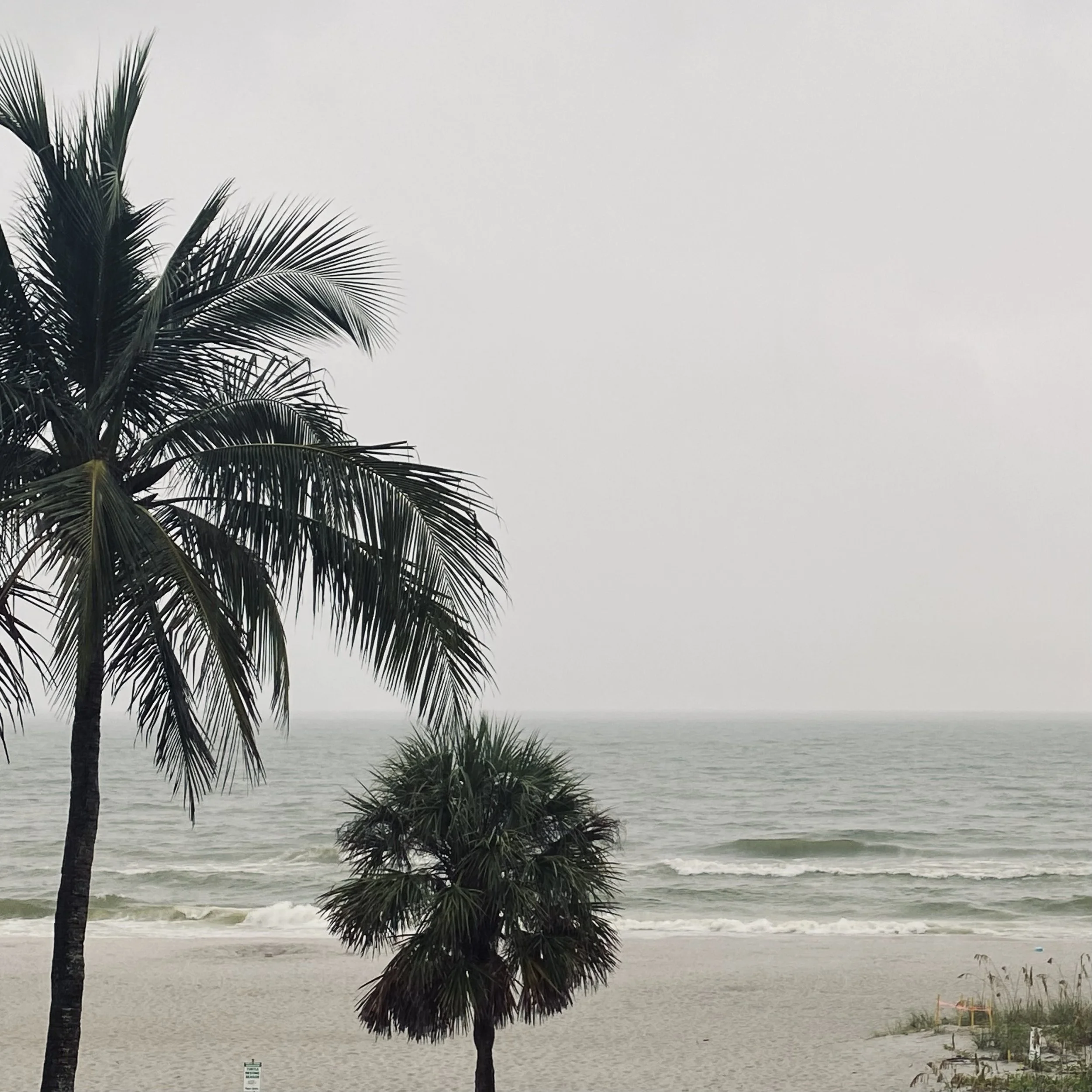 05_The Lure of the Sea.jpeg