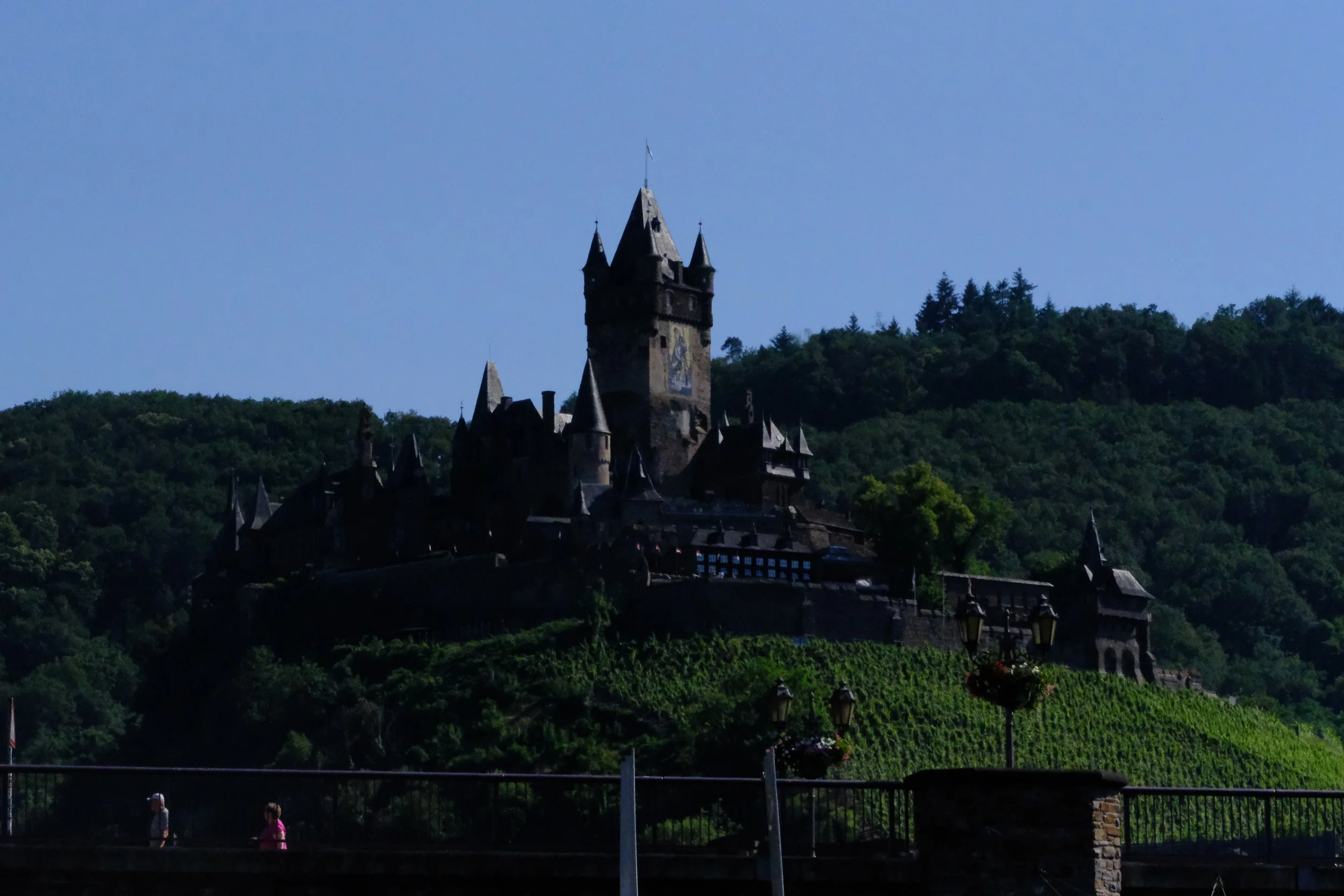 DSCF8249.JPG