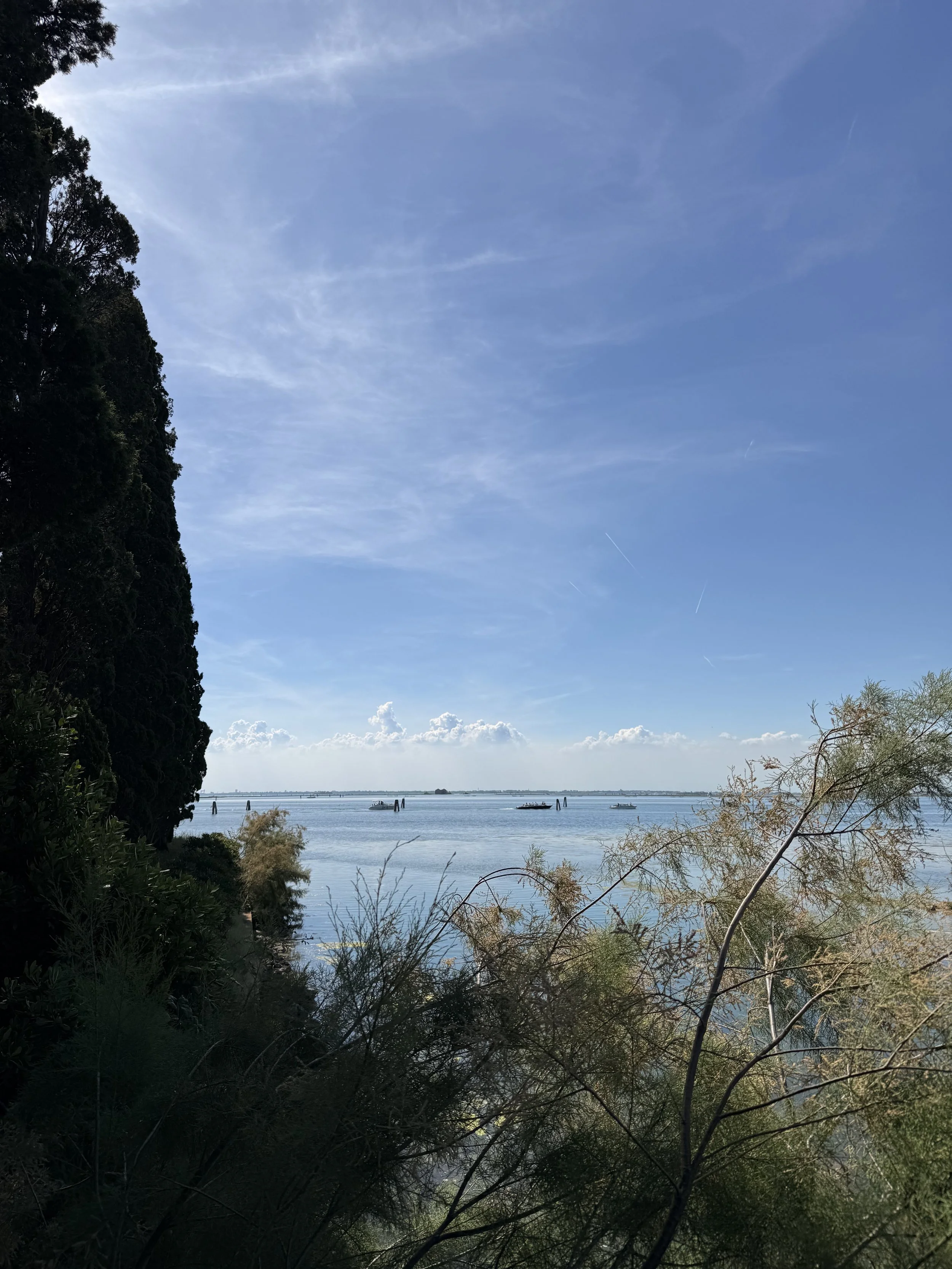 IMG_3172.jpeg