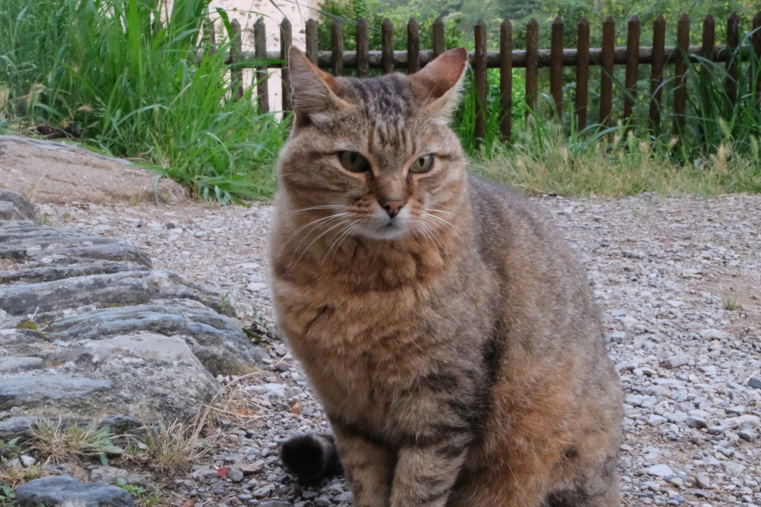 DSCF7823.JPG