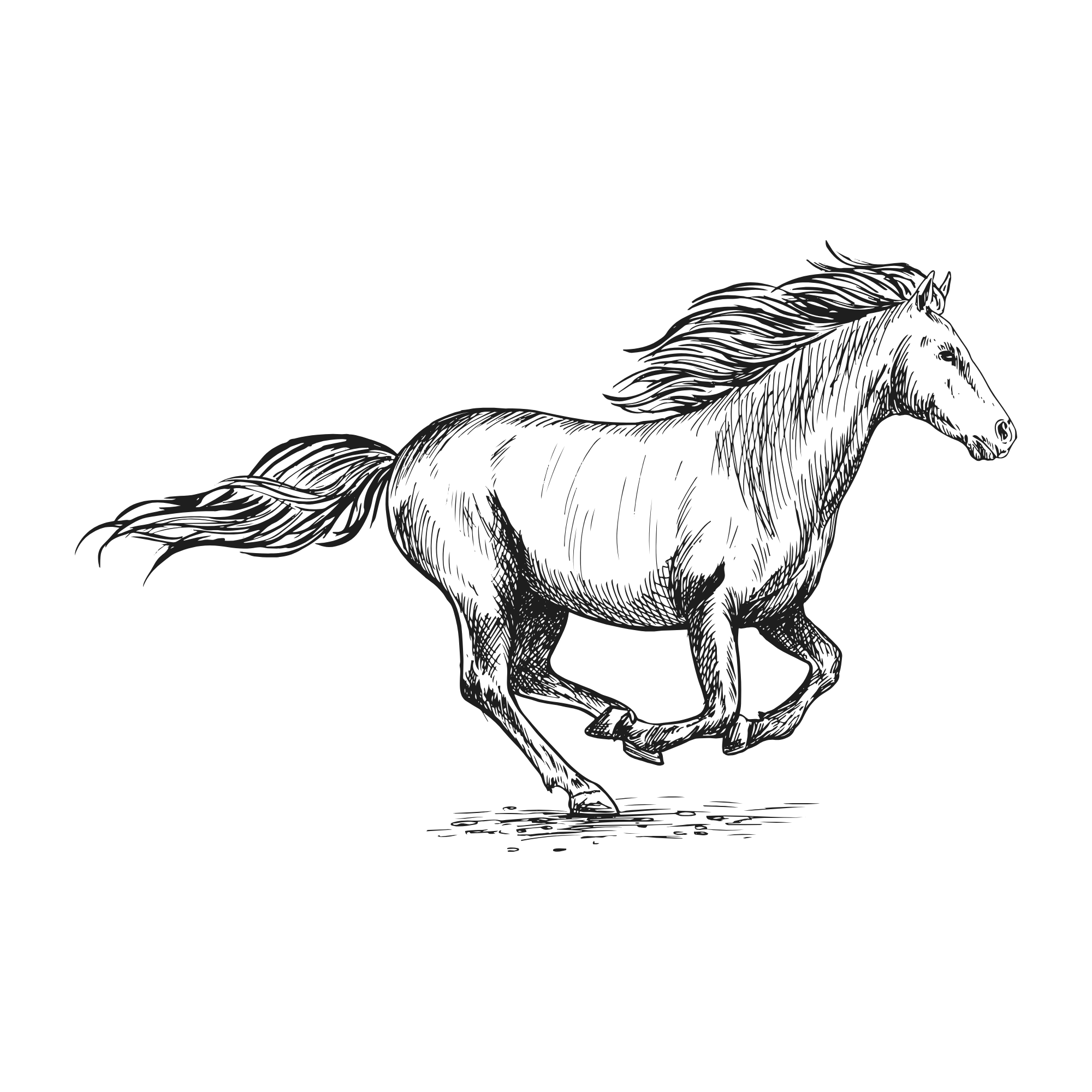 Line drawing of a horse's head with flowing mane on a black background.