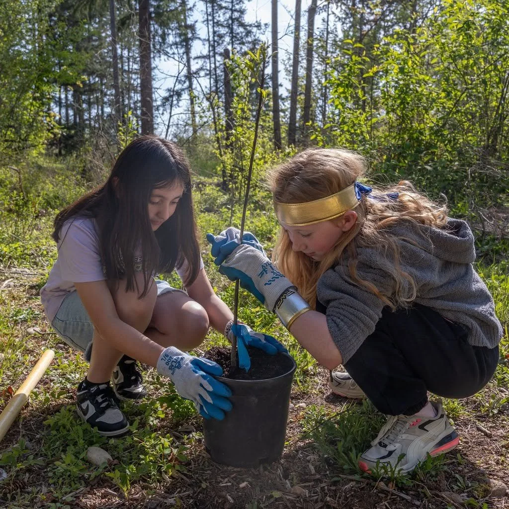 Two young girls planting a sapling in a forested area during daytime.