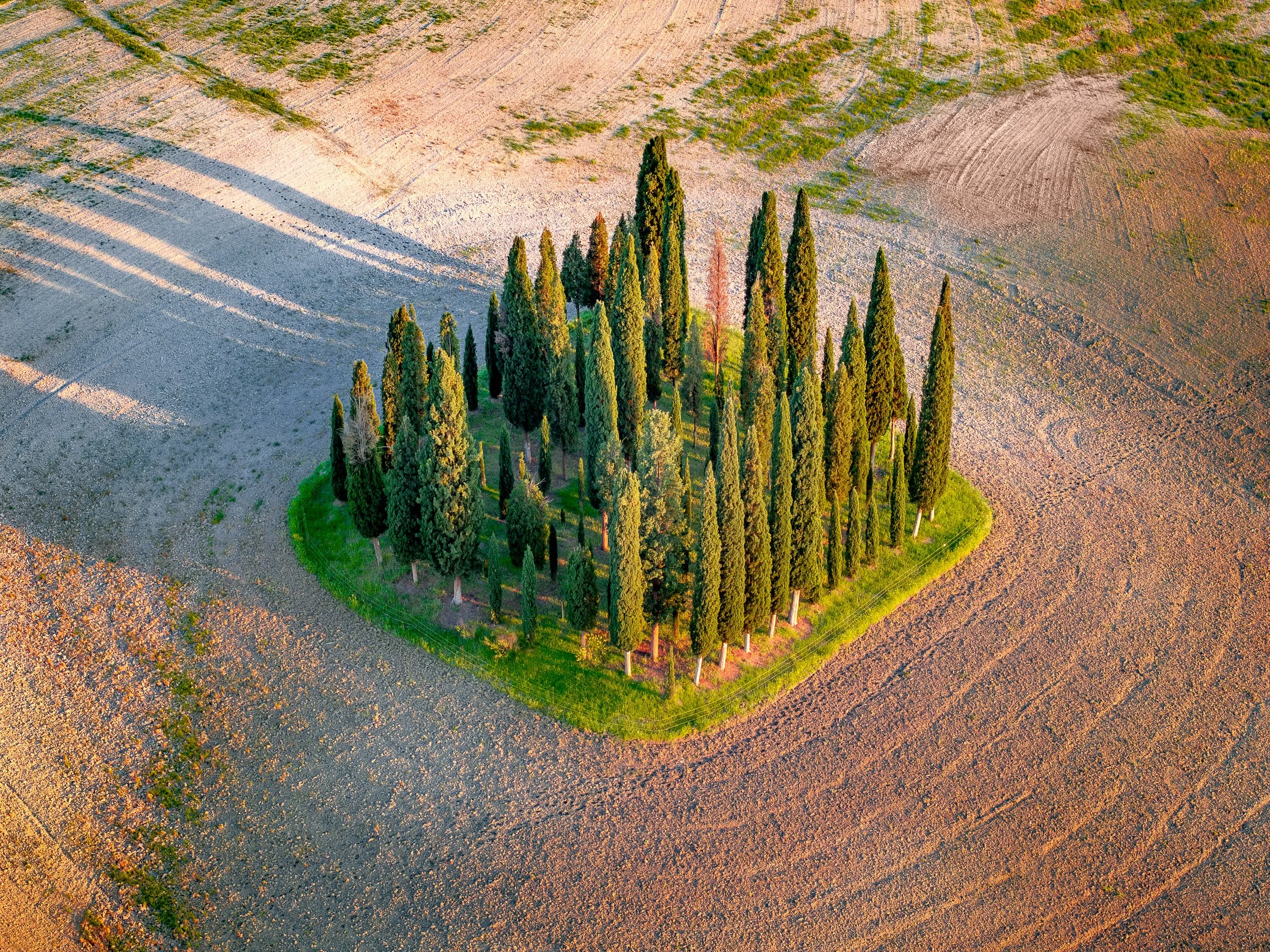 Aerial landscape photograph of Cipressi di San Quirico d'Orcia, Val d'Orcia, Tuscany, Italy.