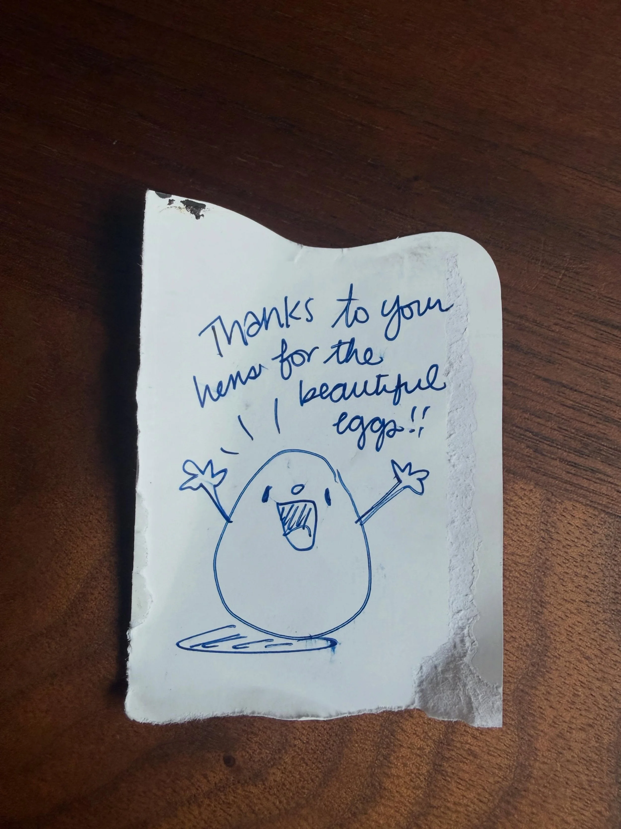 We have a road stand with eggs and firewood. We replenished this morning and checked the cashbox. To our surprise we received this handwritten note from one of our customers, and honestly, it made our day.

Knowing that people notice the work we&rsqu