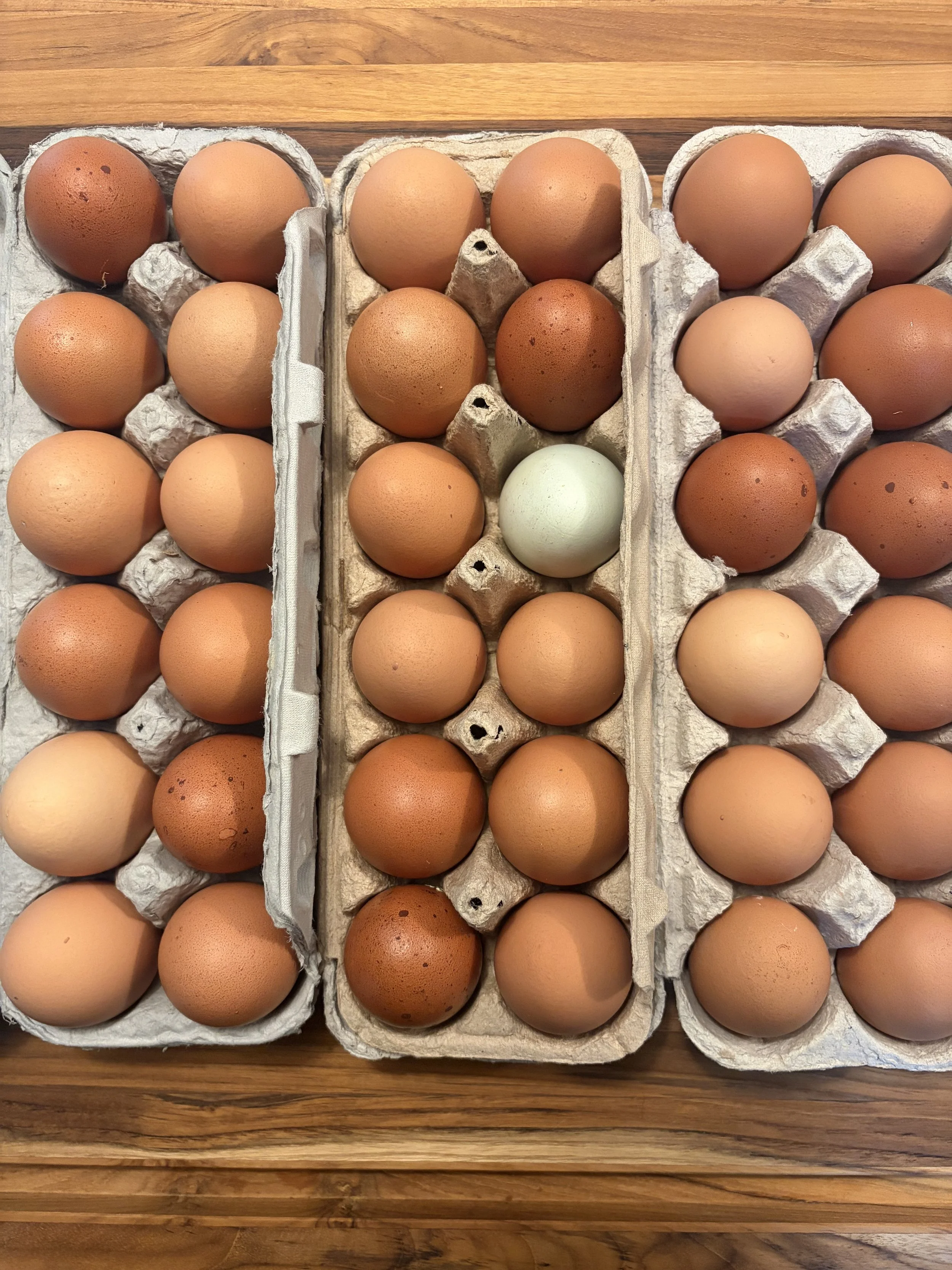 Eggs