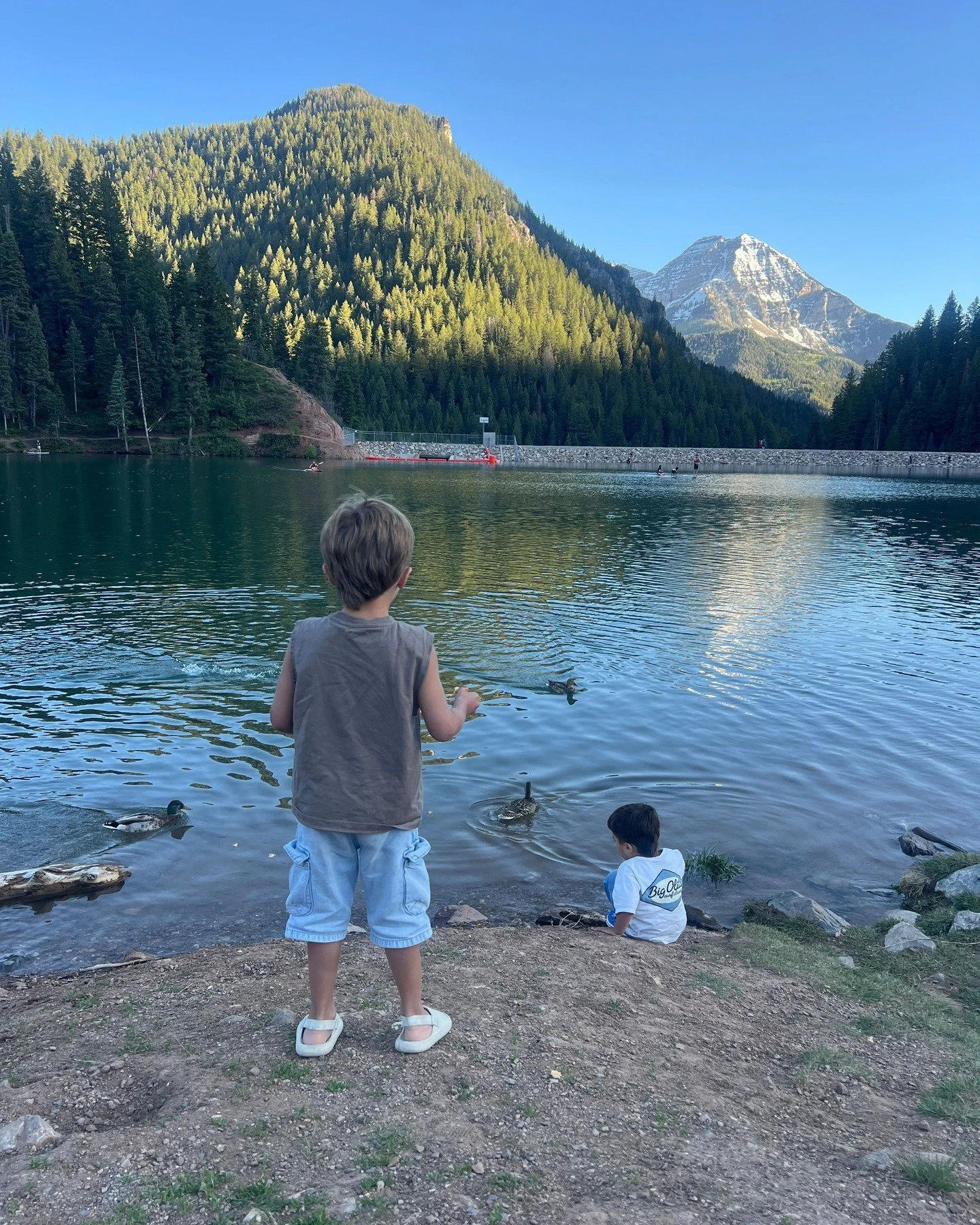 Two young boys at a lakeside with mountains and forest in the background. One boy is standing and looking at the water, while the other is sitting near the shore. Ducks are swimming in the lake.