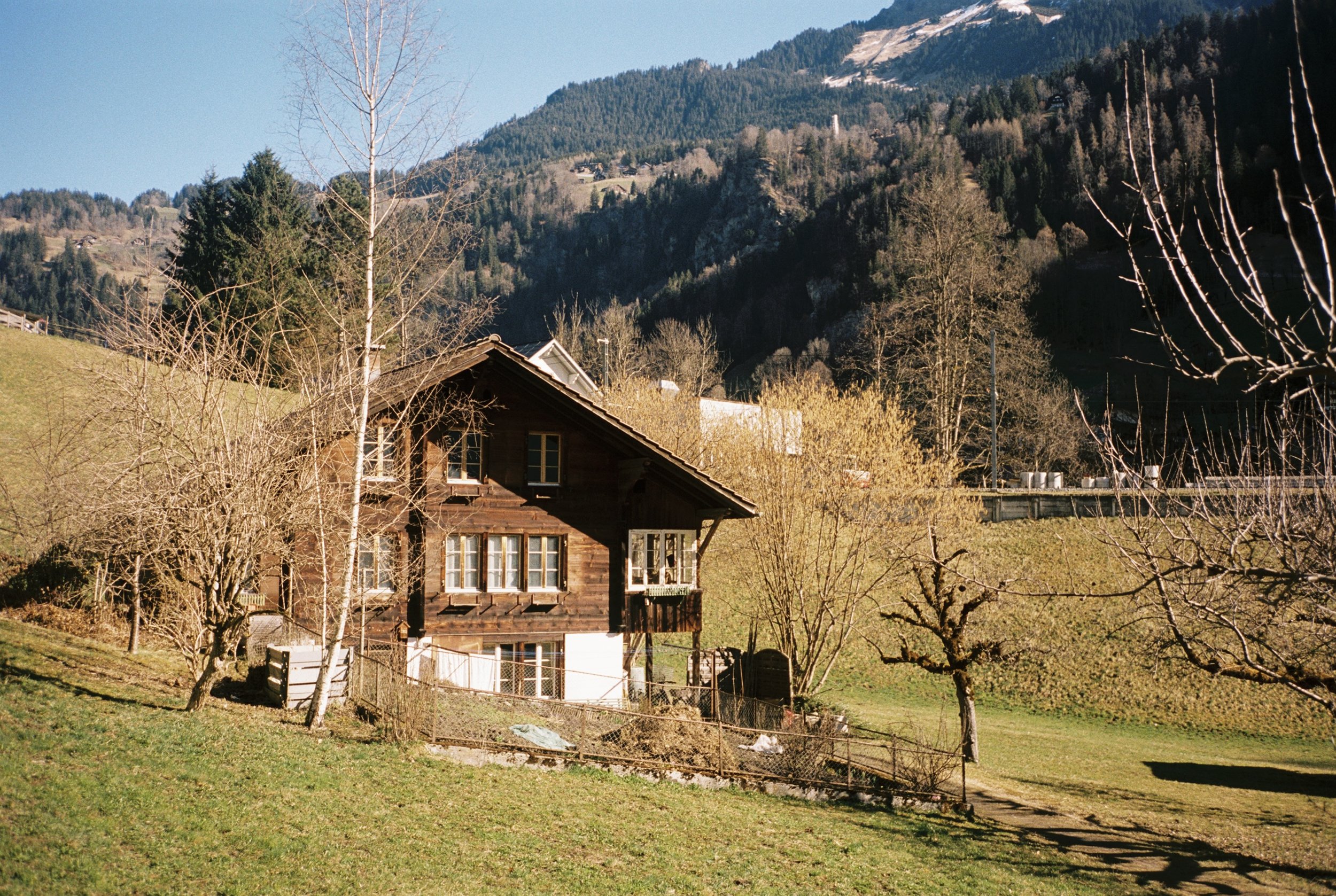 THYT669-006.jpg
