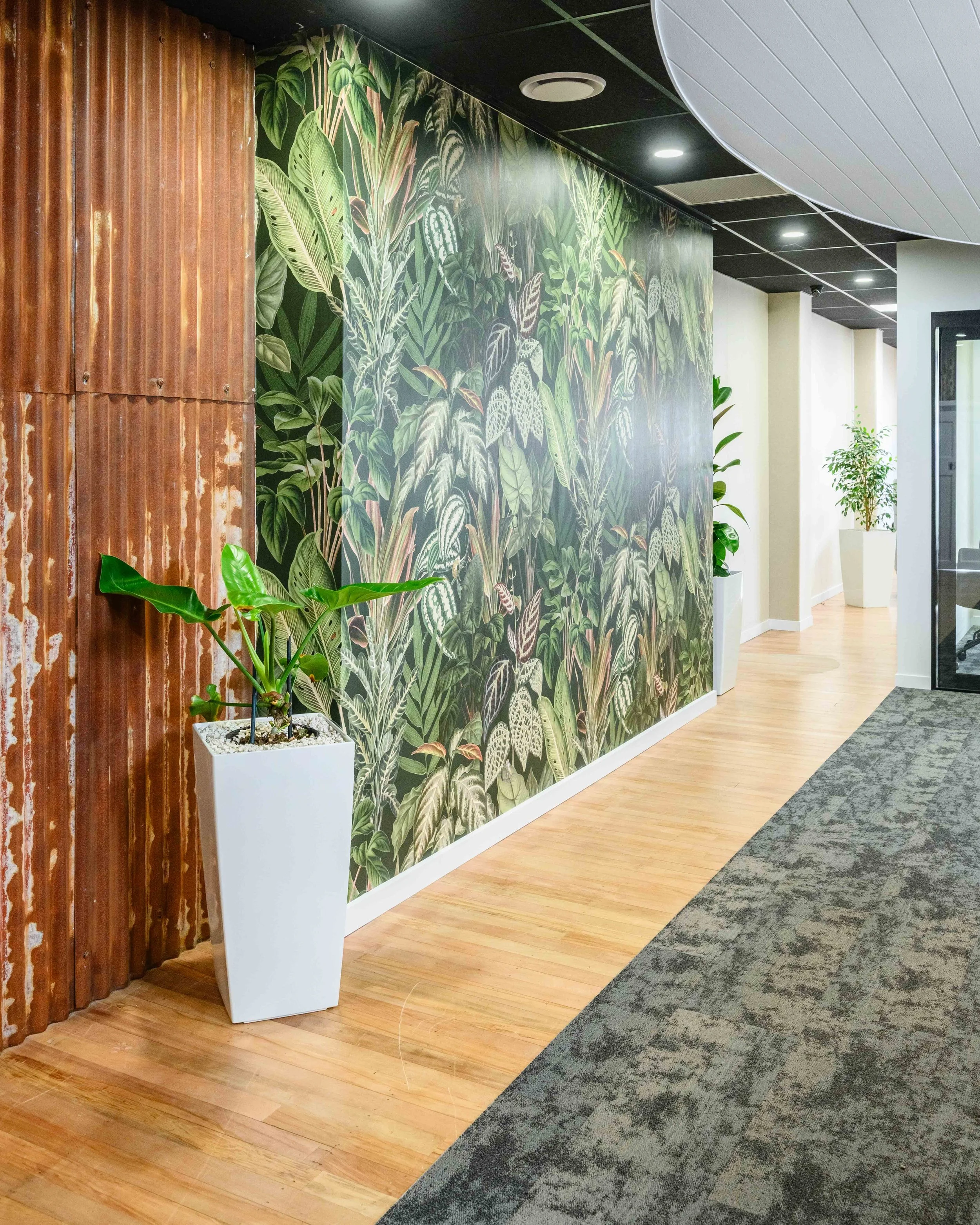 Better Space - Bayleys Te Awamutu 23.jpg