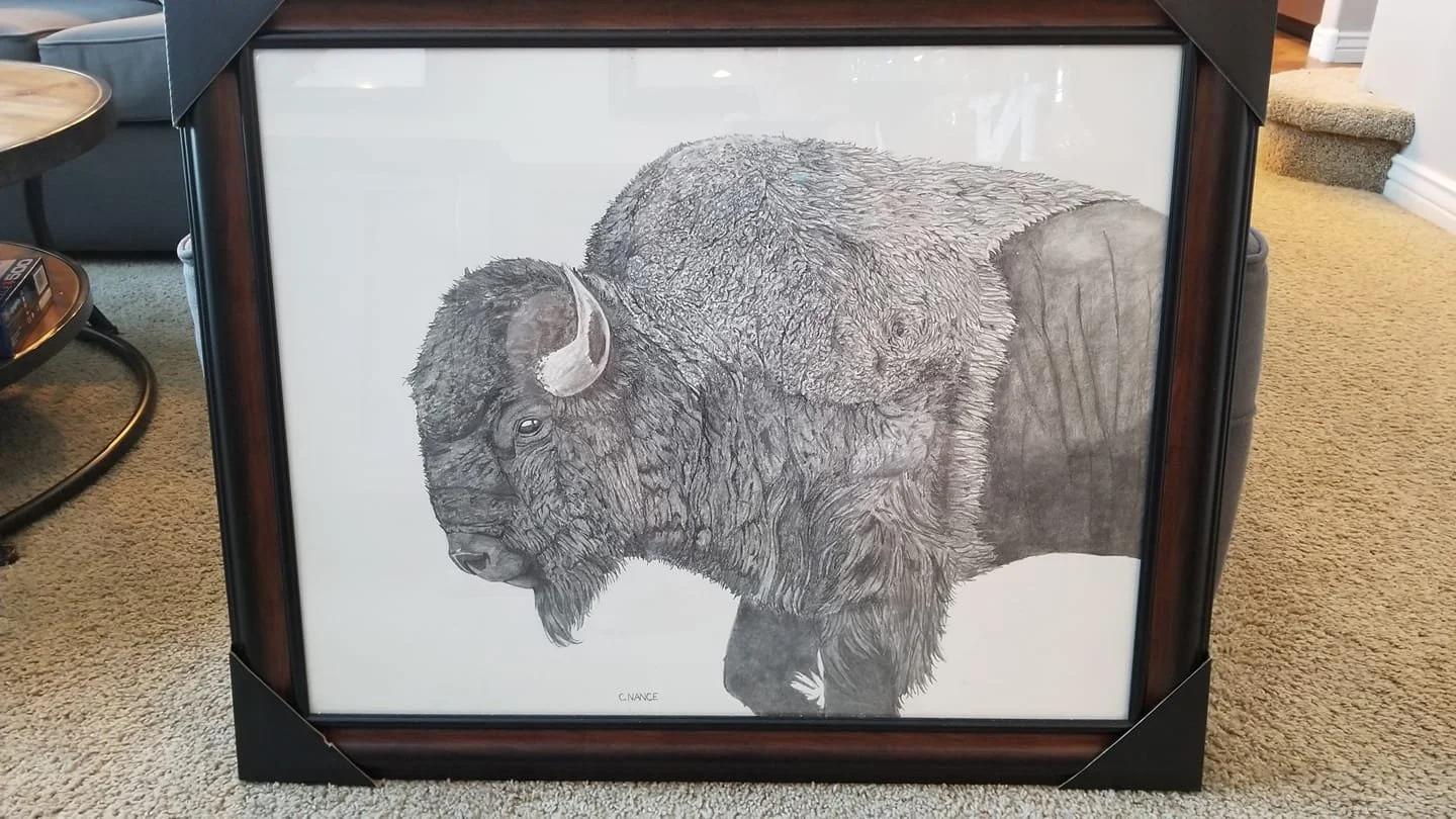 Buffalo Drawing.jpg