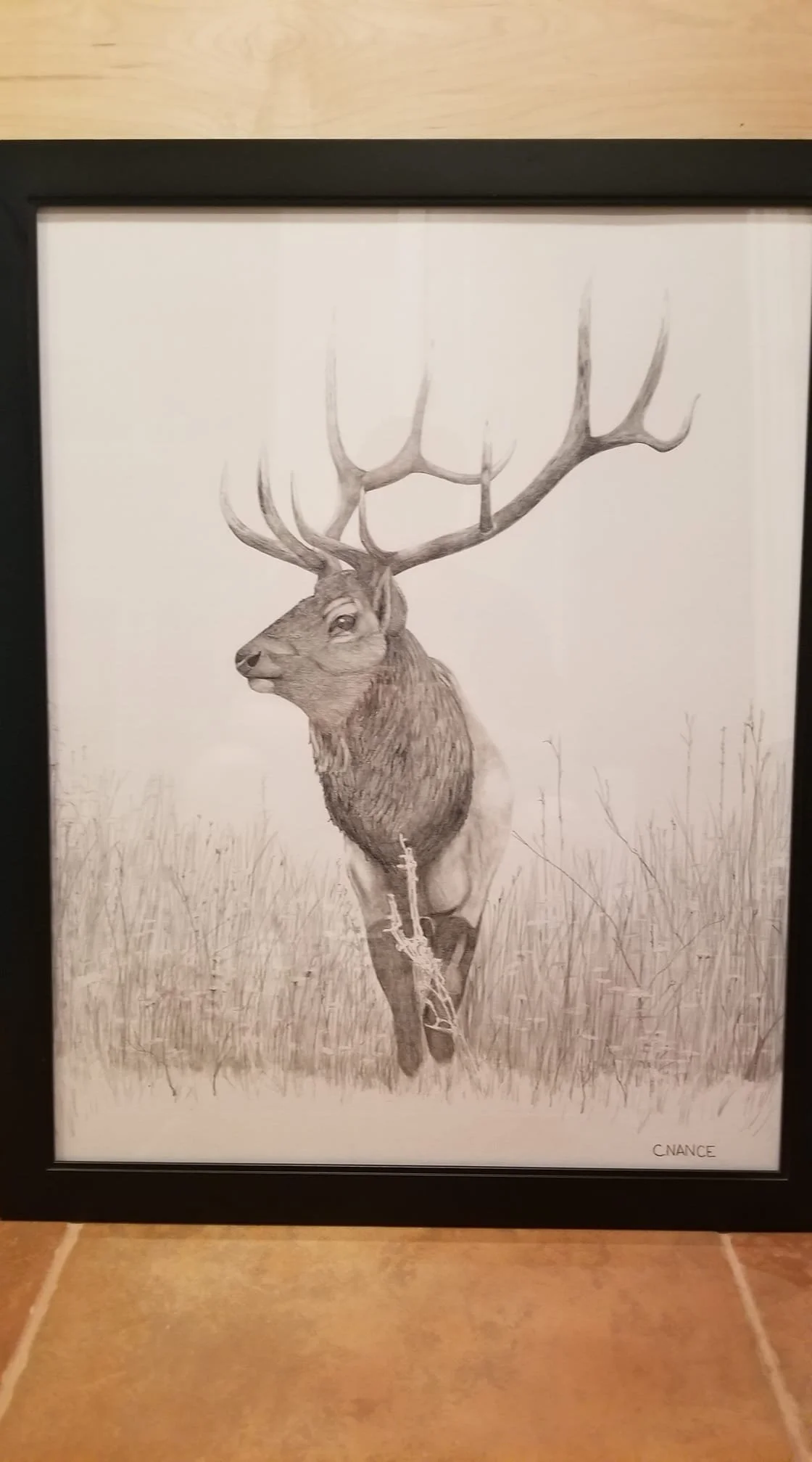 Elk Drawing 2.jpg