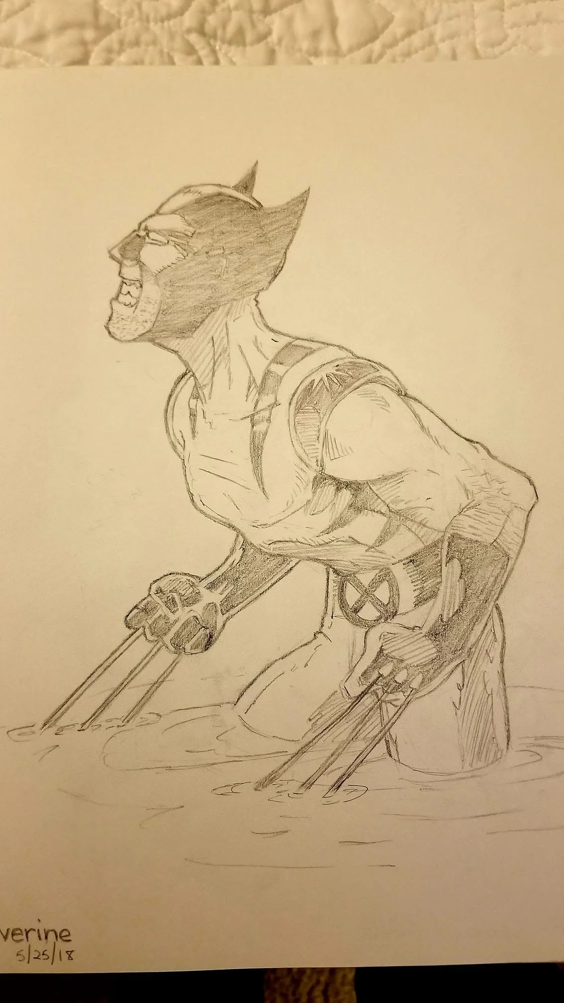 Wolverine.jpg