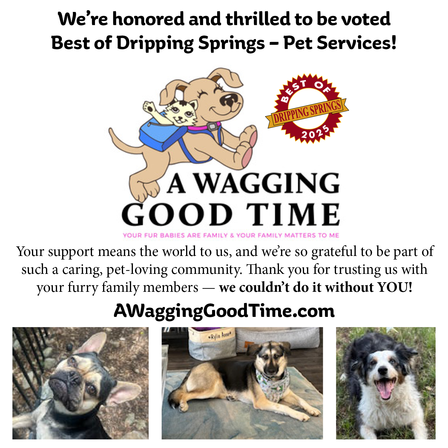A wagging good time 1_4 Color (1).png