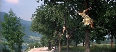 intrees.jpg