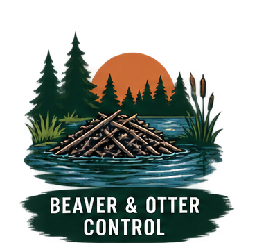 Illustration of a beaver dam in a pond with trees, cattails, and a sunset in the background, labeled 'Beaver & Otter Control'.