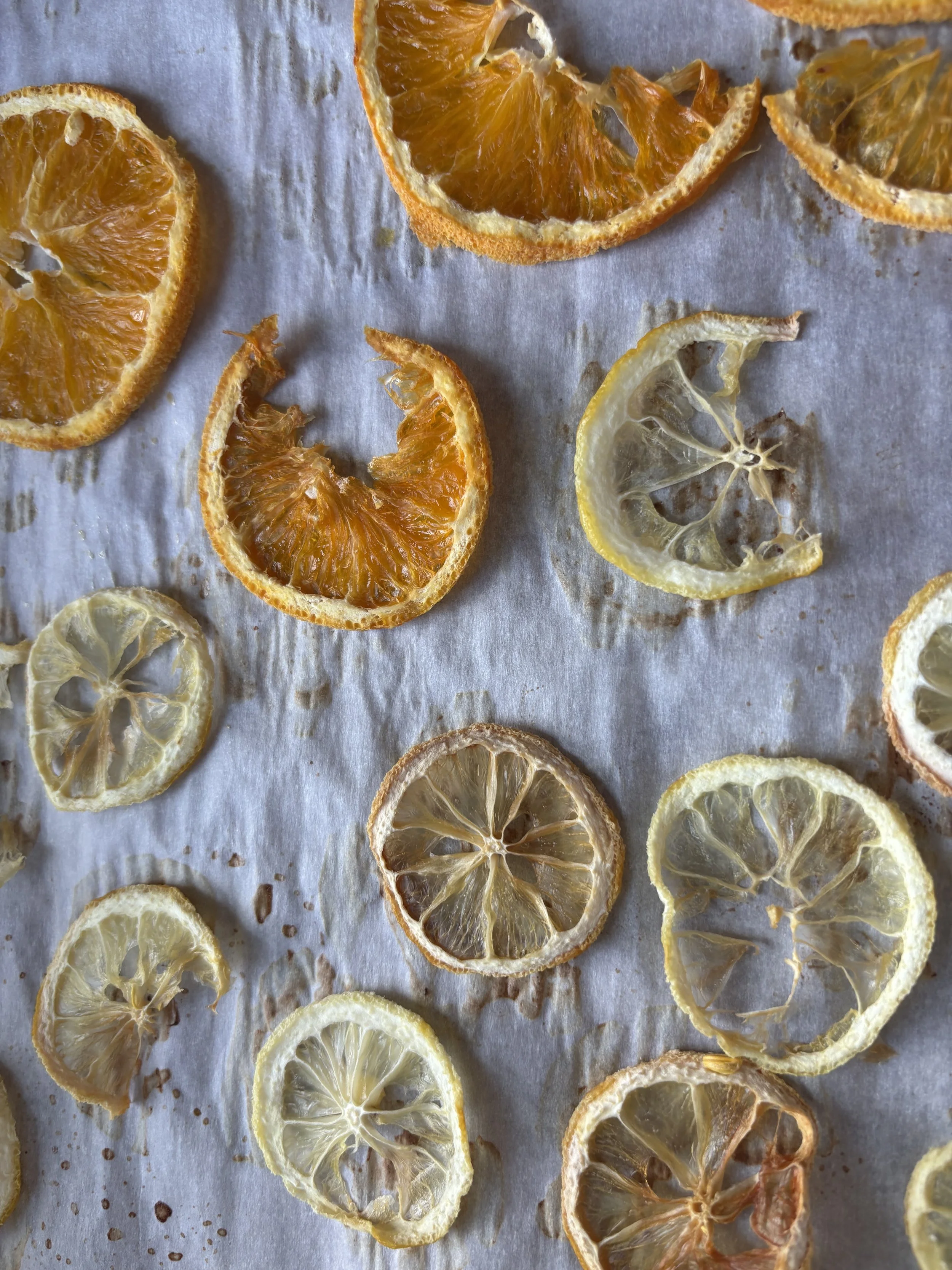 Thinly sliced dried lemons and oranges arranged on parchment paper.