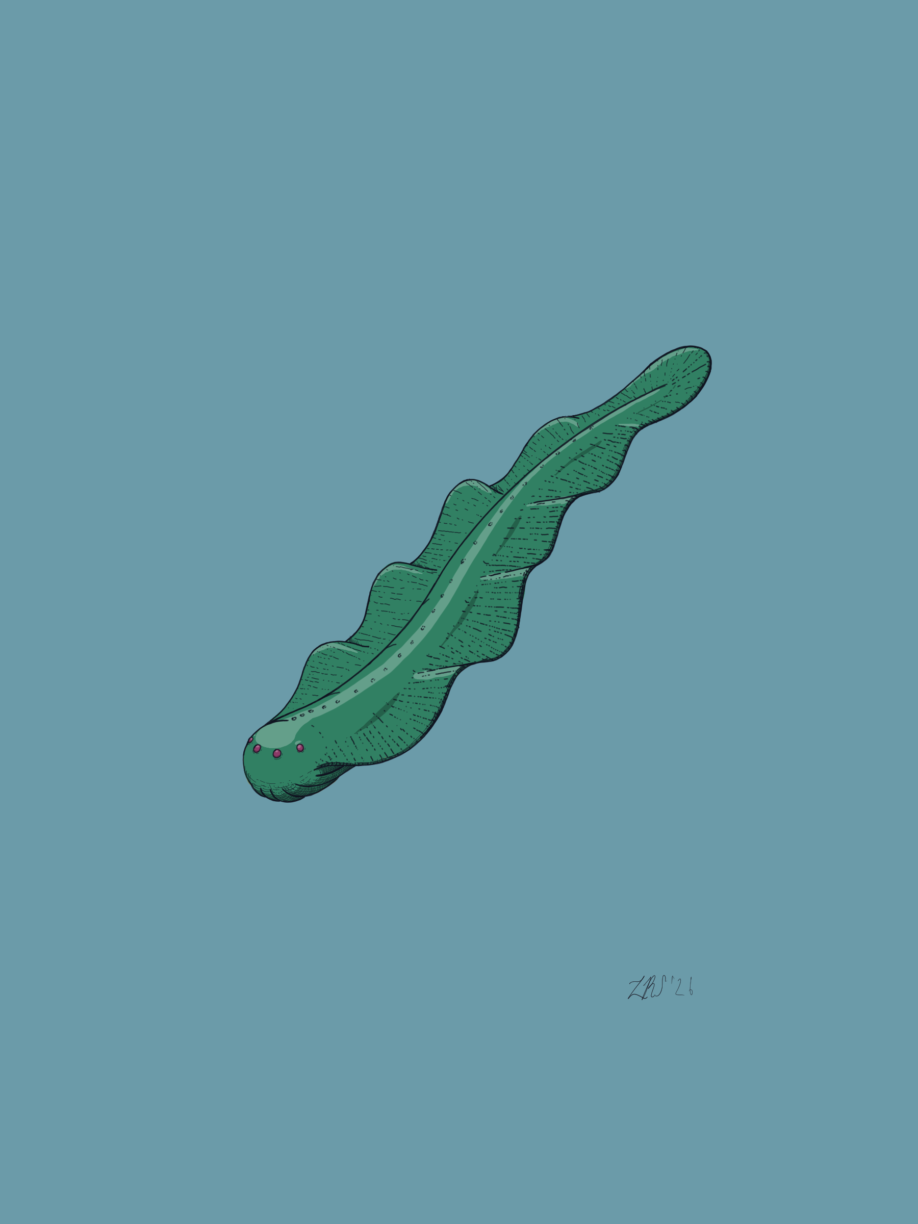A long worm-like creature with undulating side flaps with 4 small red eyes at the front of its body, and small structures sweeping underneath suggesting anterior tentacles.