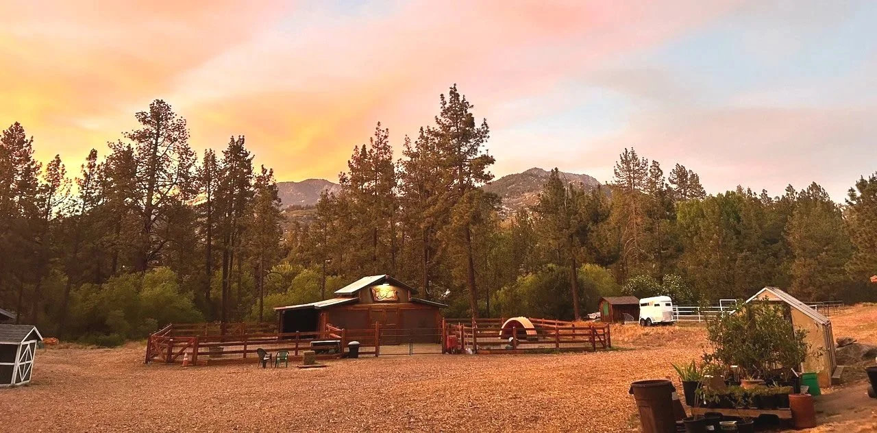 Harmony Farms at sunset in Mountain Center, California