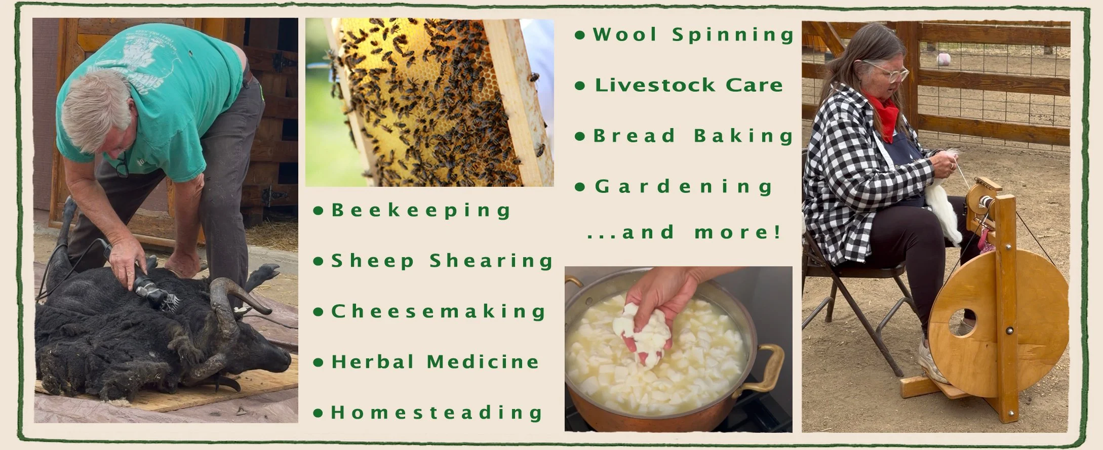 Harmony Farms workshops like cheesemaking and homesteading activities