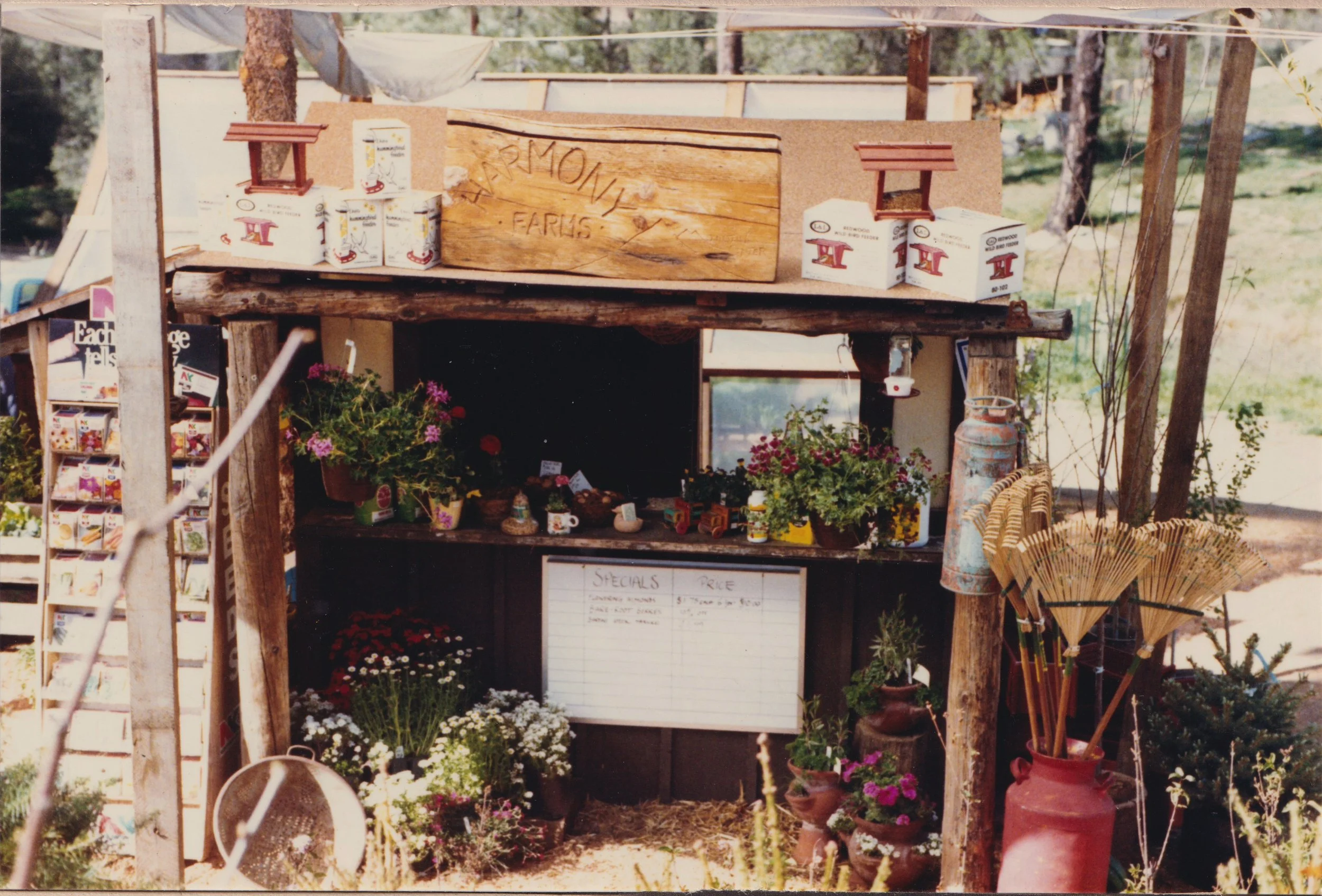Harmony Farms farm stand with fresh eggs, plants, and seasonal goods