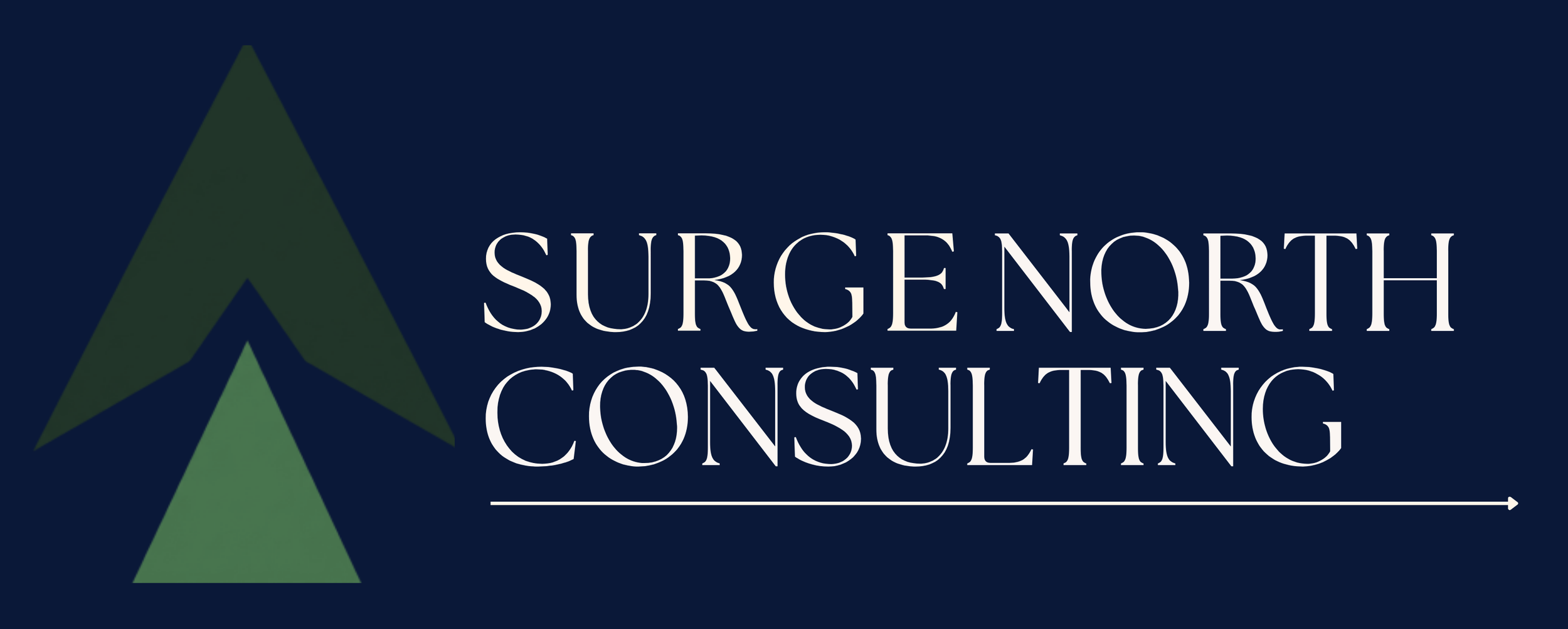 Surge North Consulting