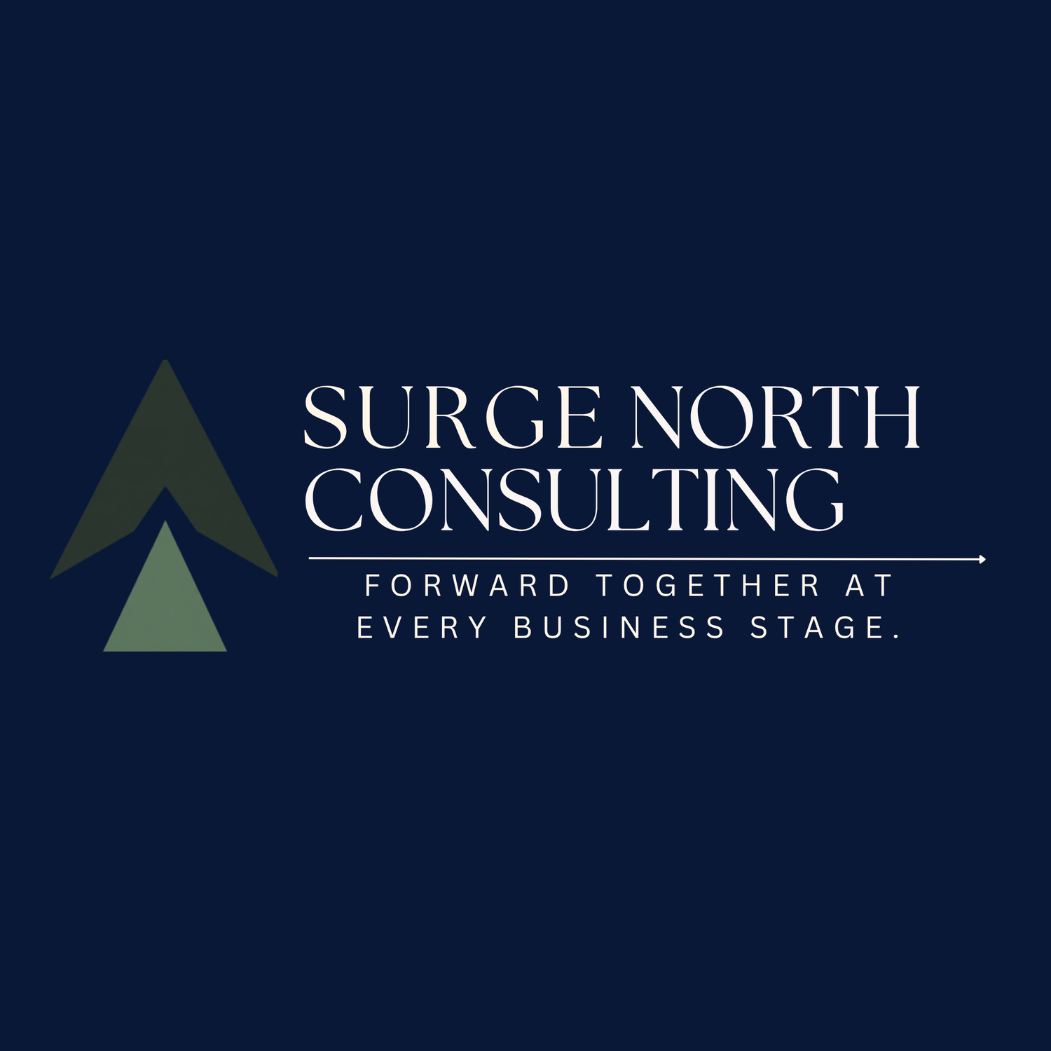 Surge North Consulting