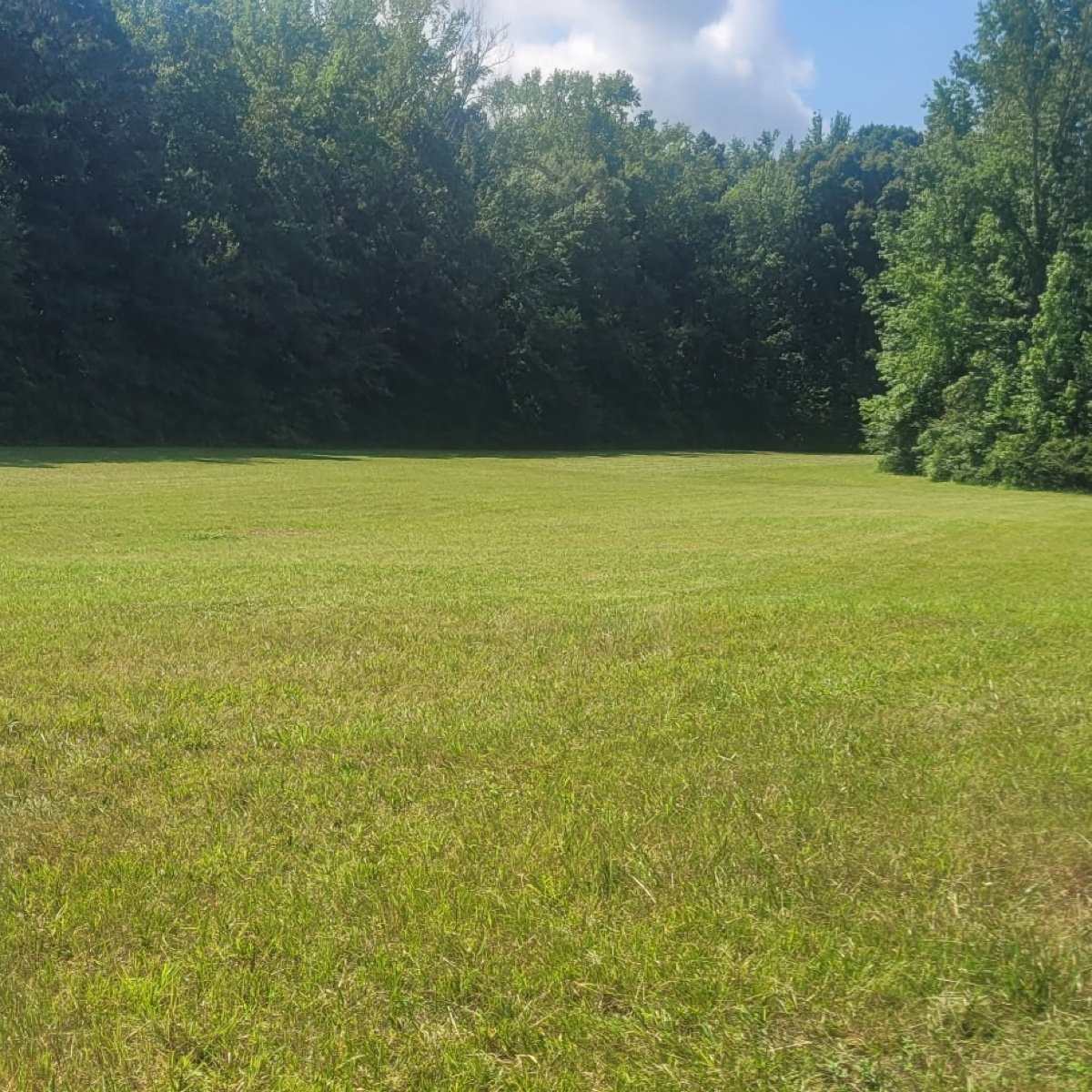 Lawn Care