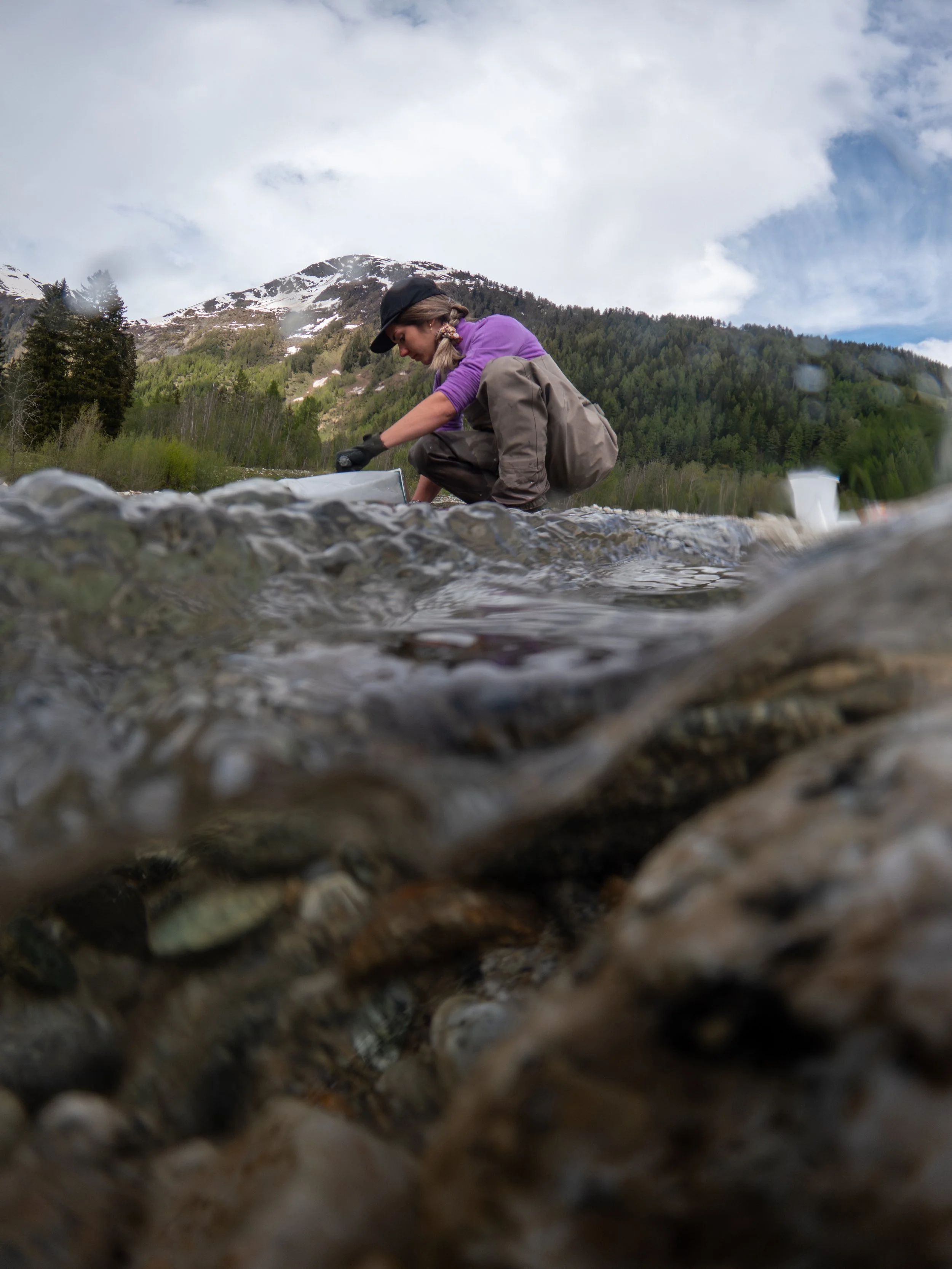 Downstream-294.jpg