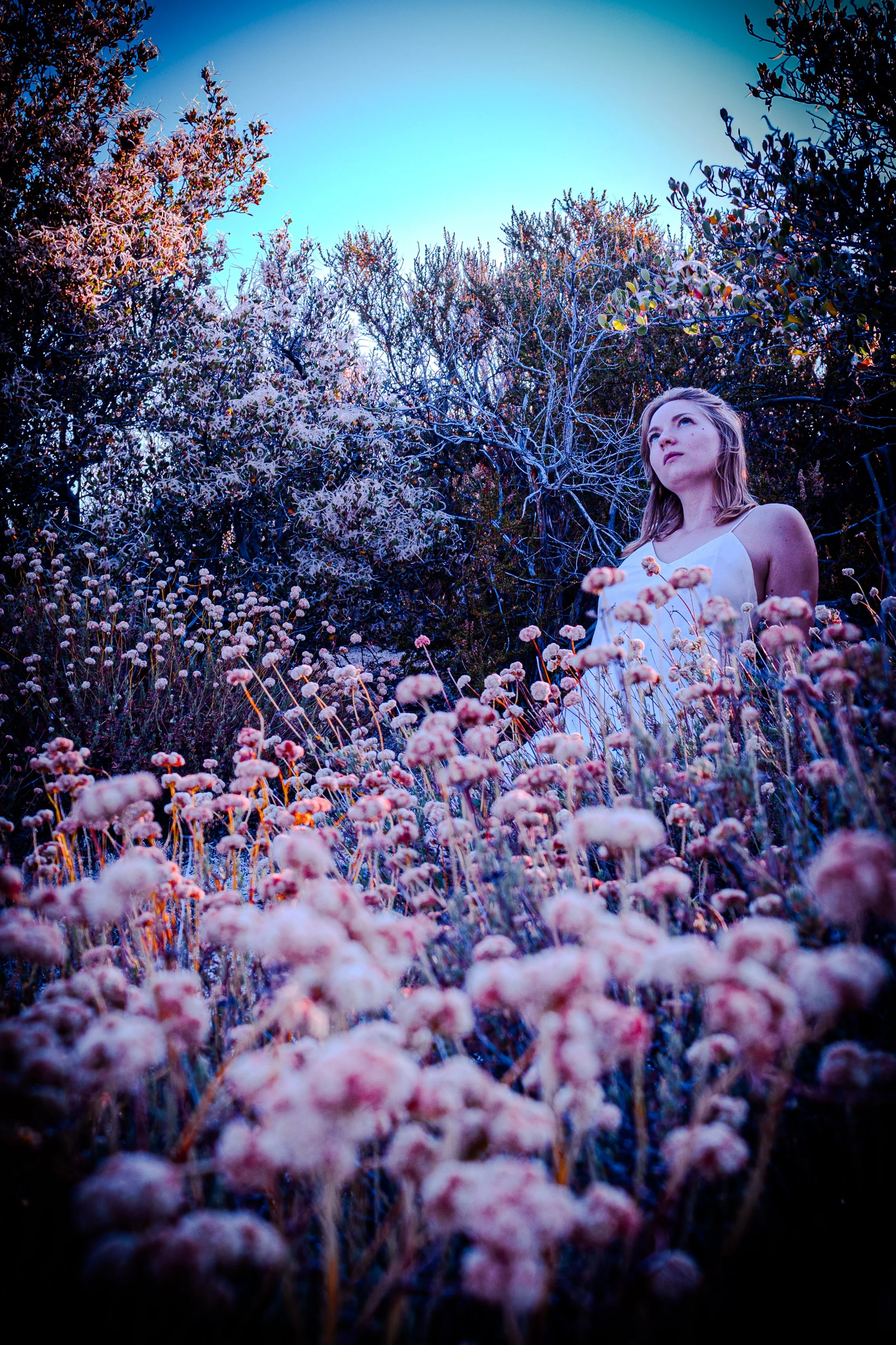 Cali Photoshoot-14 (1).jpg