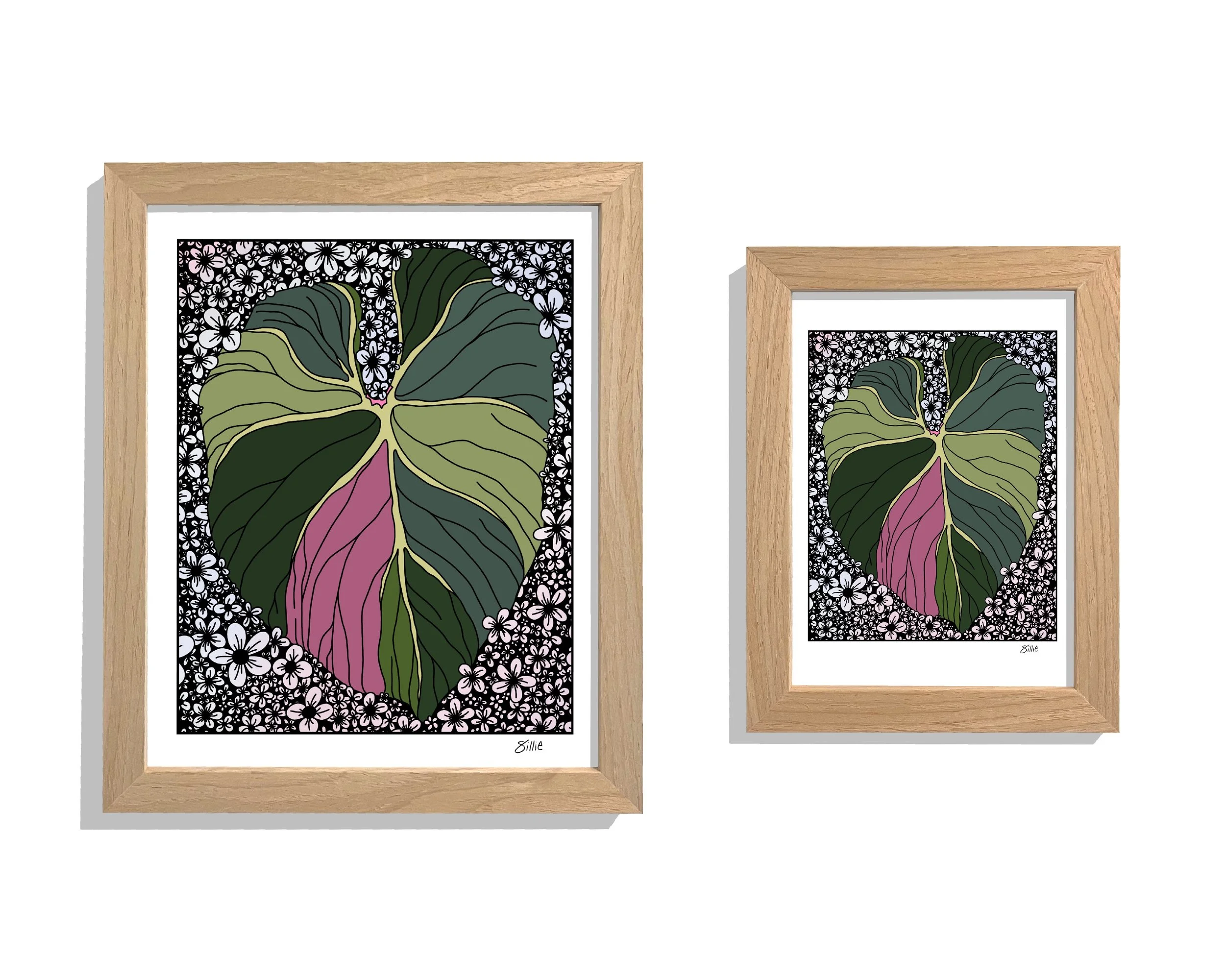Monstera Love