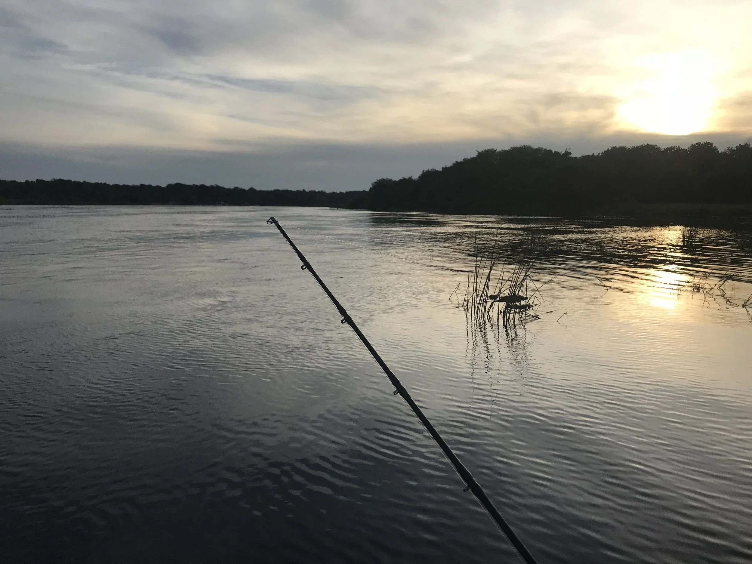 A body of water at sunset or sunrise with a fishing rod in the foreground, plants along the water's edge, and a tree-lined horizon under a partly cloudy sky.