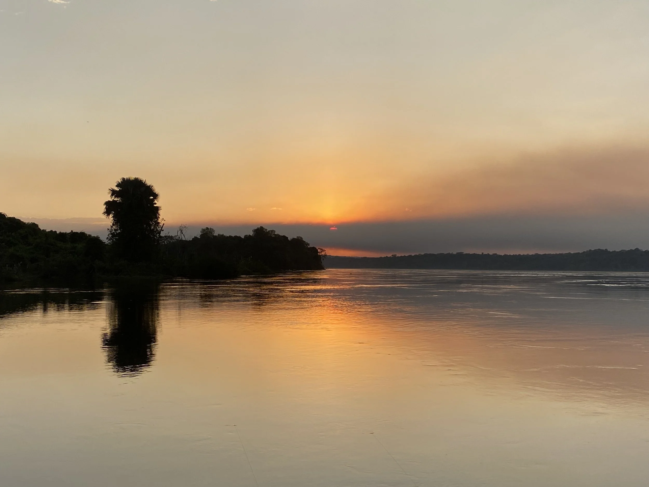 A sunset over a river with a silhouetted tree in the foreground and distant land on the horizon.