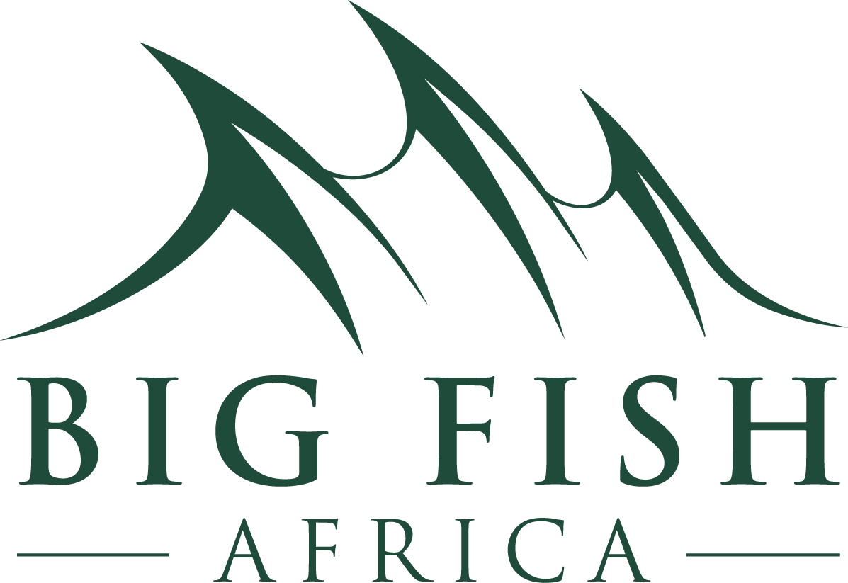 Big Fish Africa