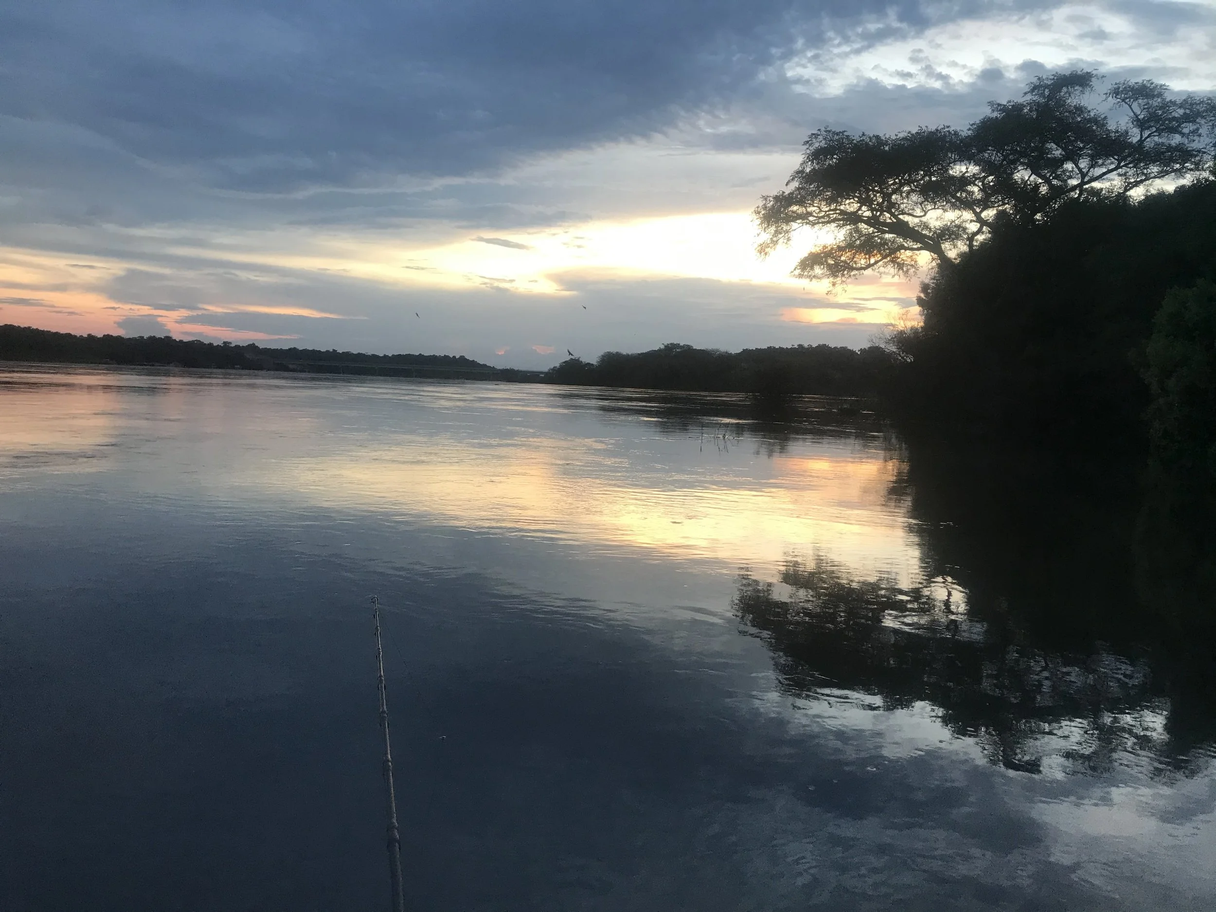 Calm river reflecting a cloudy sky at sunset or sunrise, with dark trees on the right side.