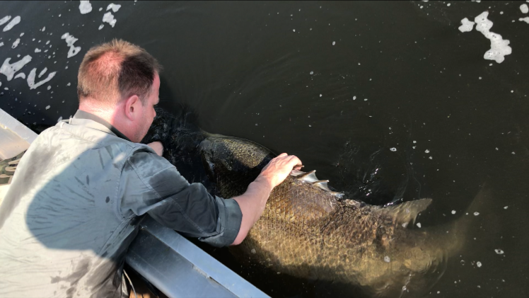 A man on a boat holding a large fish in the water.