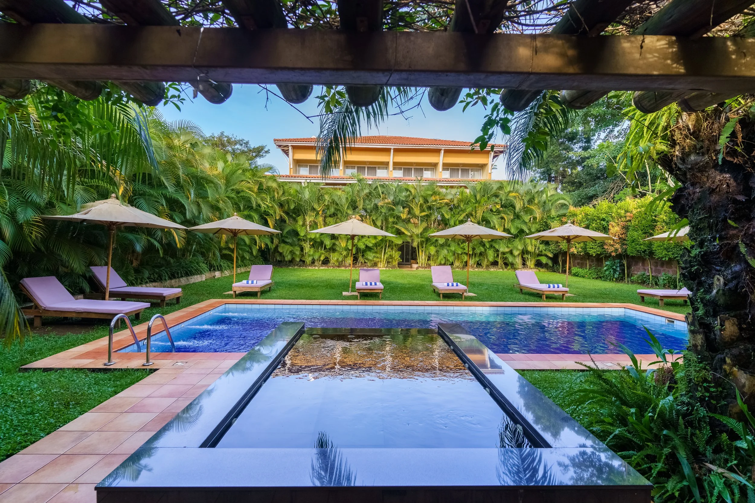 A backyard with a swimming pool surrounded by lounge chairs with striped towels, umbrellas, lush green plants, and a large house in the background under a blue sky.