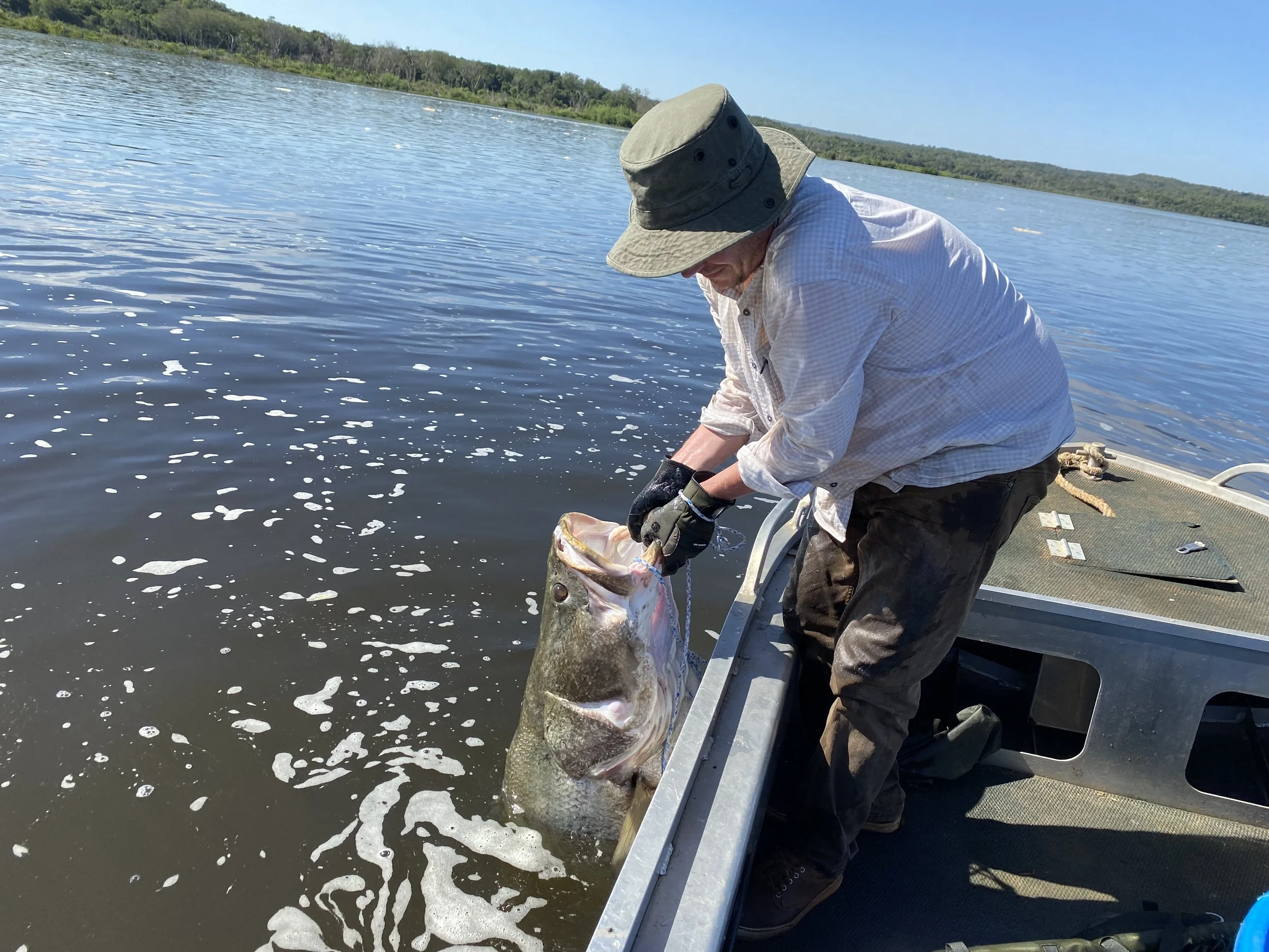 Angler fishing for giant Nile perch from a boat on Uganda's River Nile.