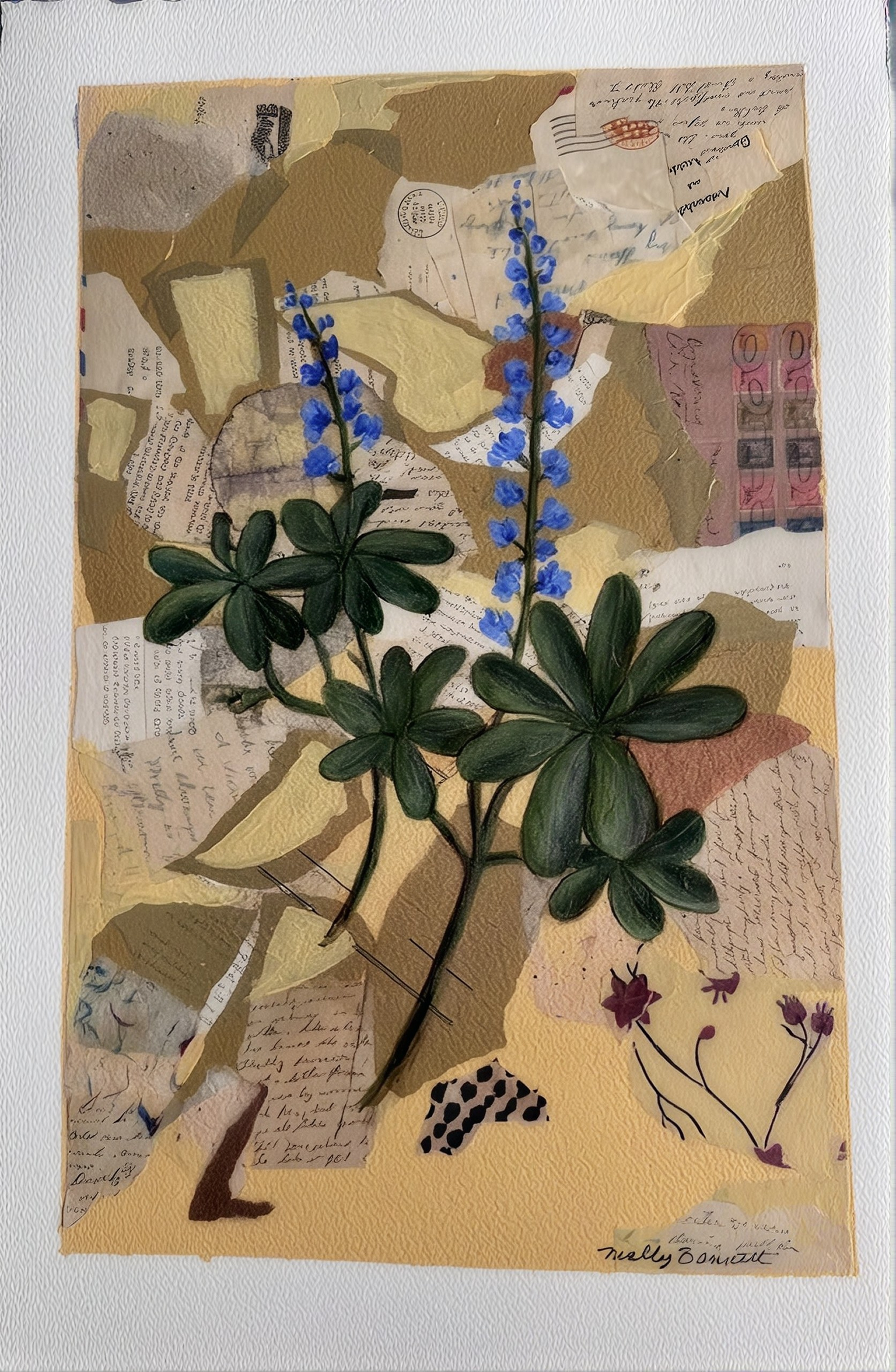Bluebonnets
