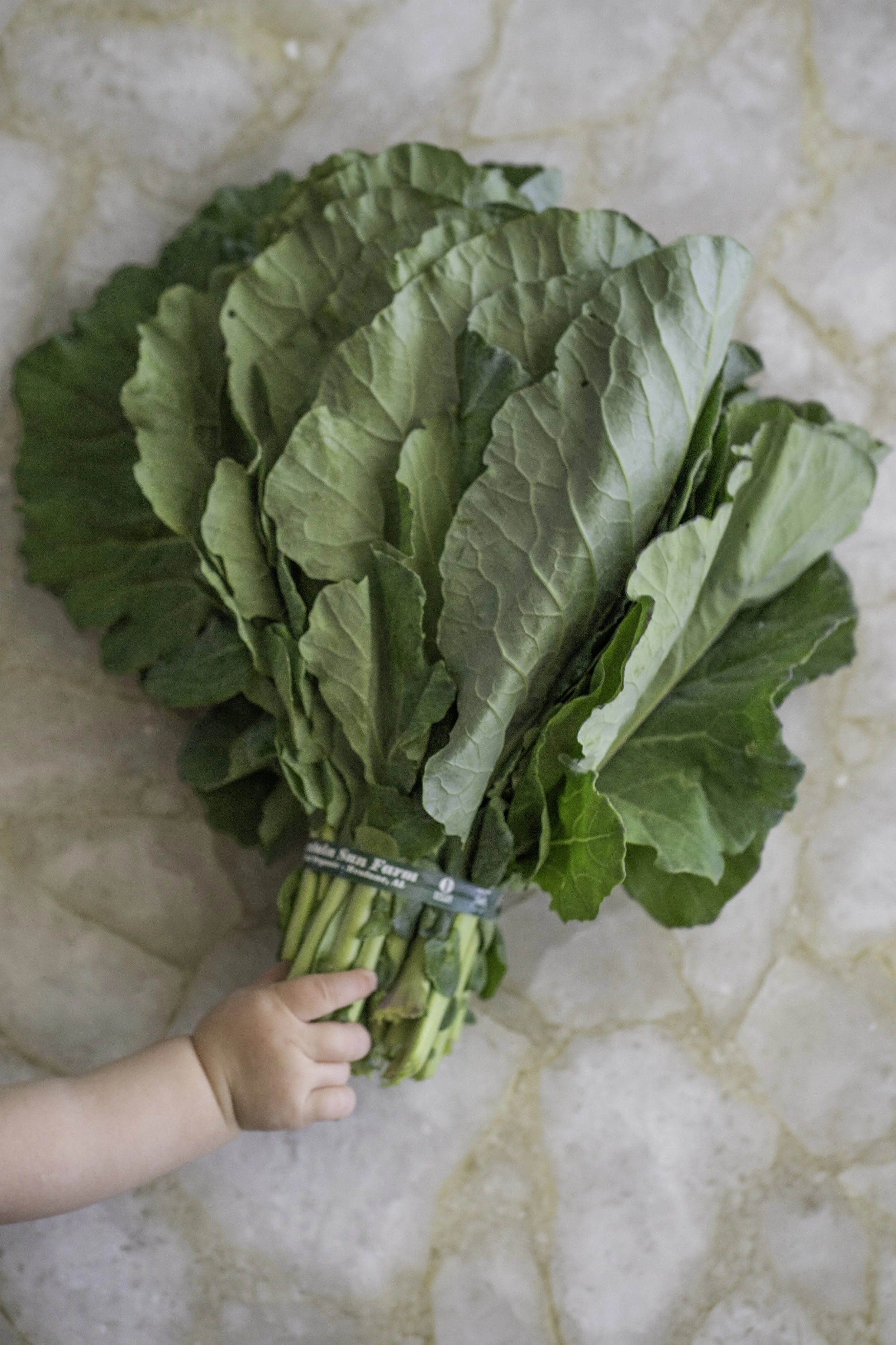 Swiss Chard &amp; Walnut Pesto 