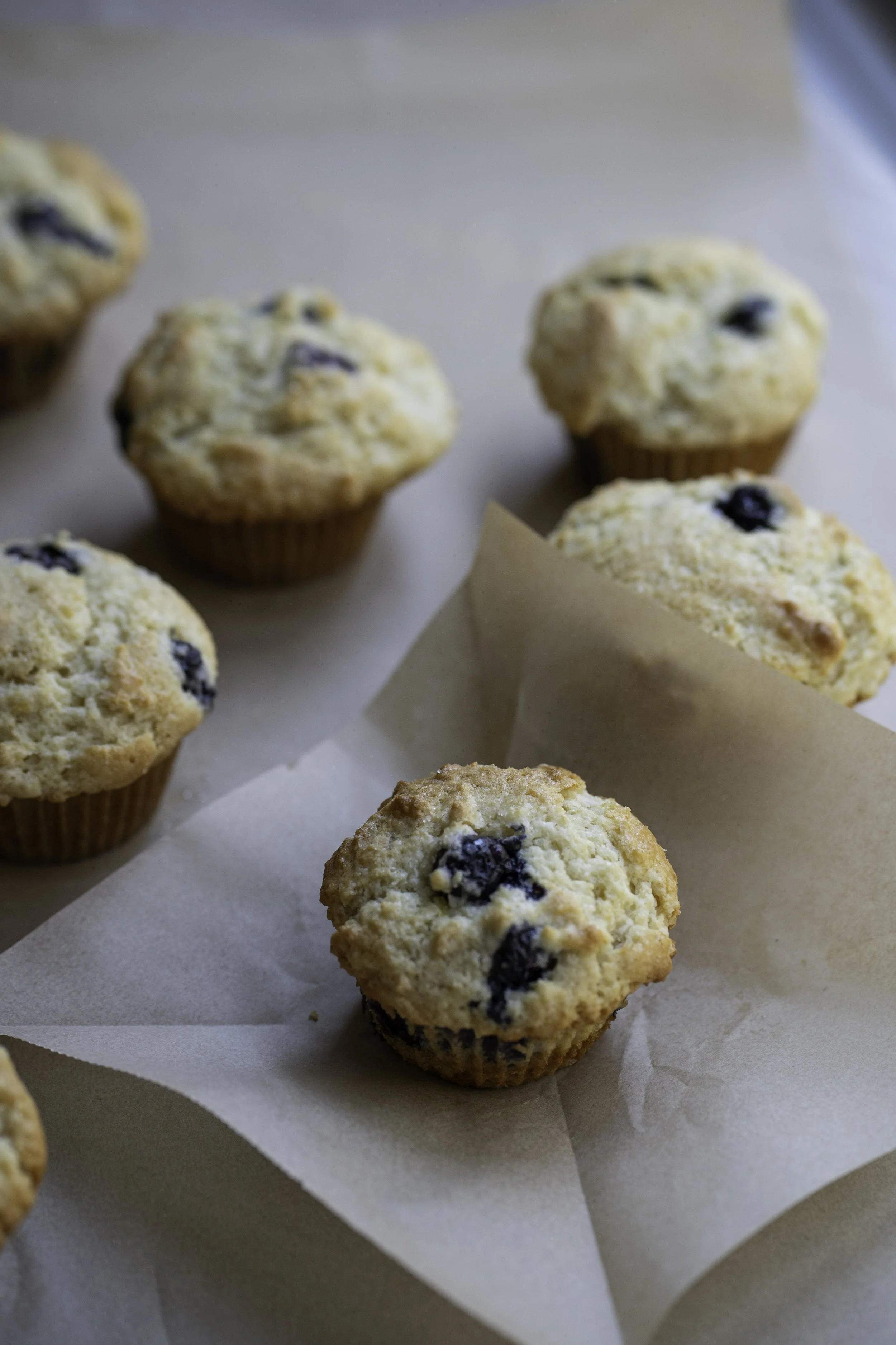 A Farm Visit + Blueberry Muffins