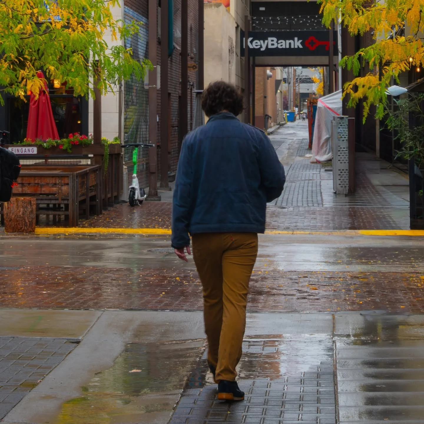 Fall