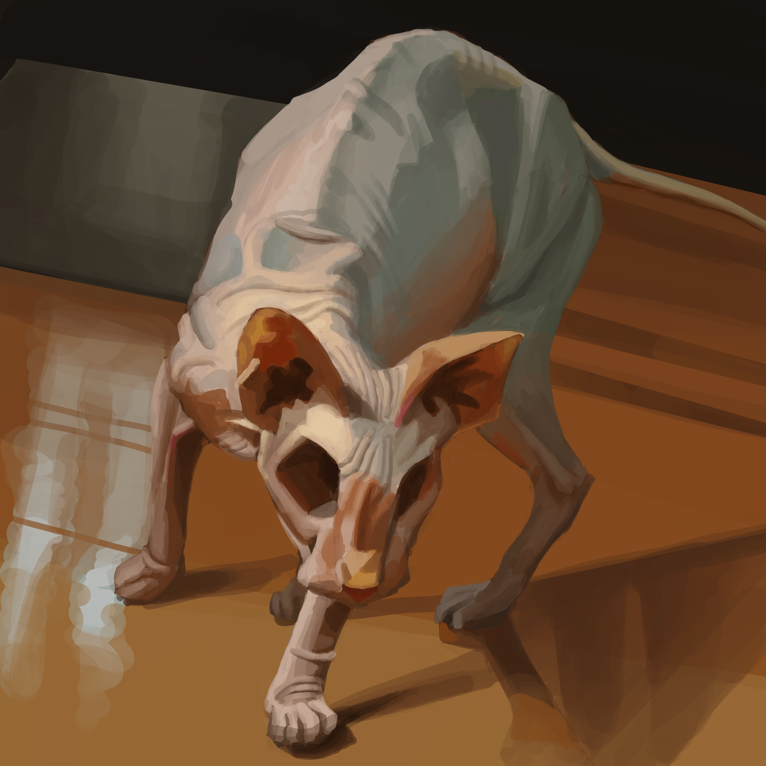 sphinx cat swag.png