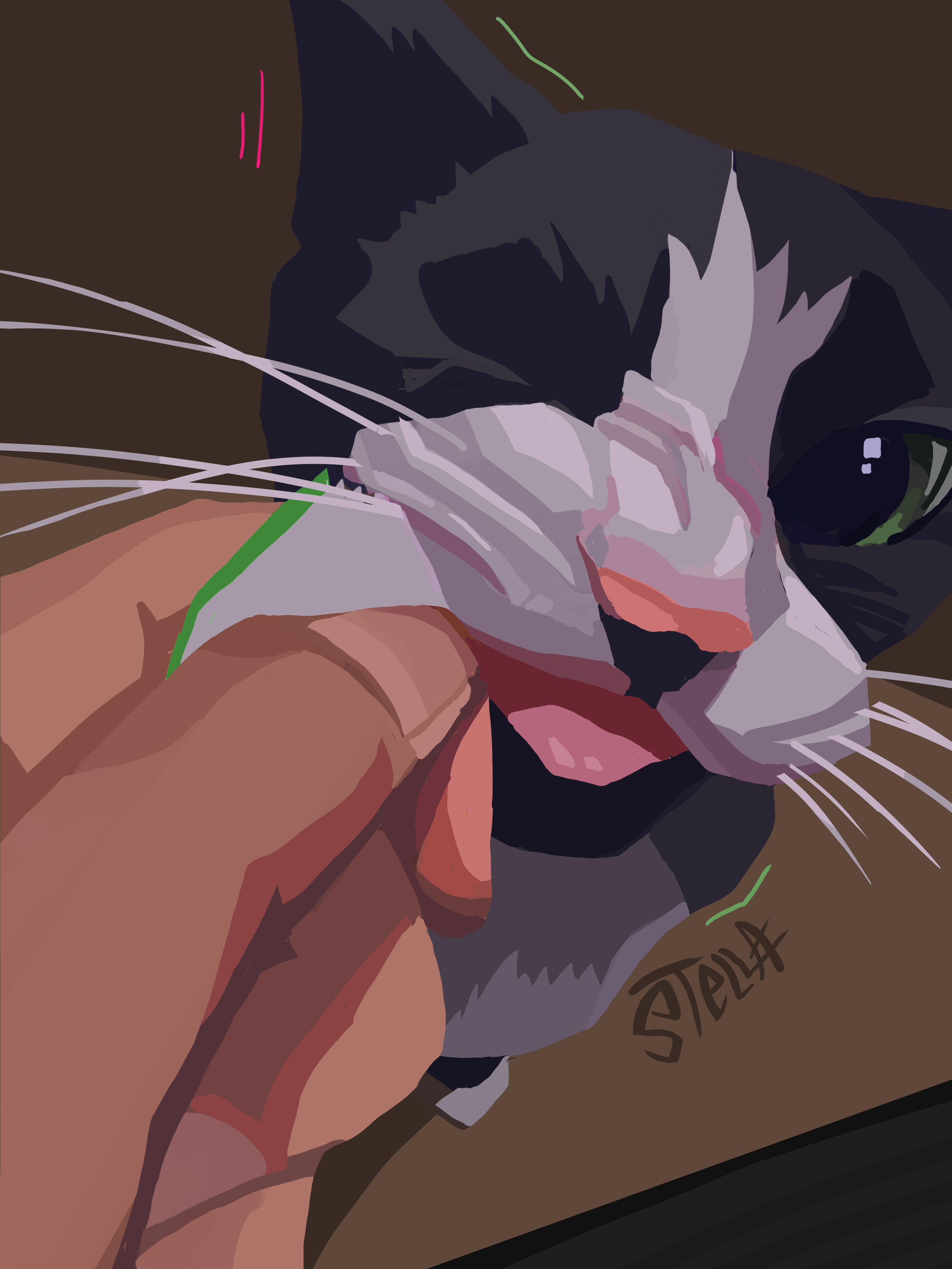 stella painting copy.png